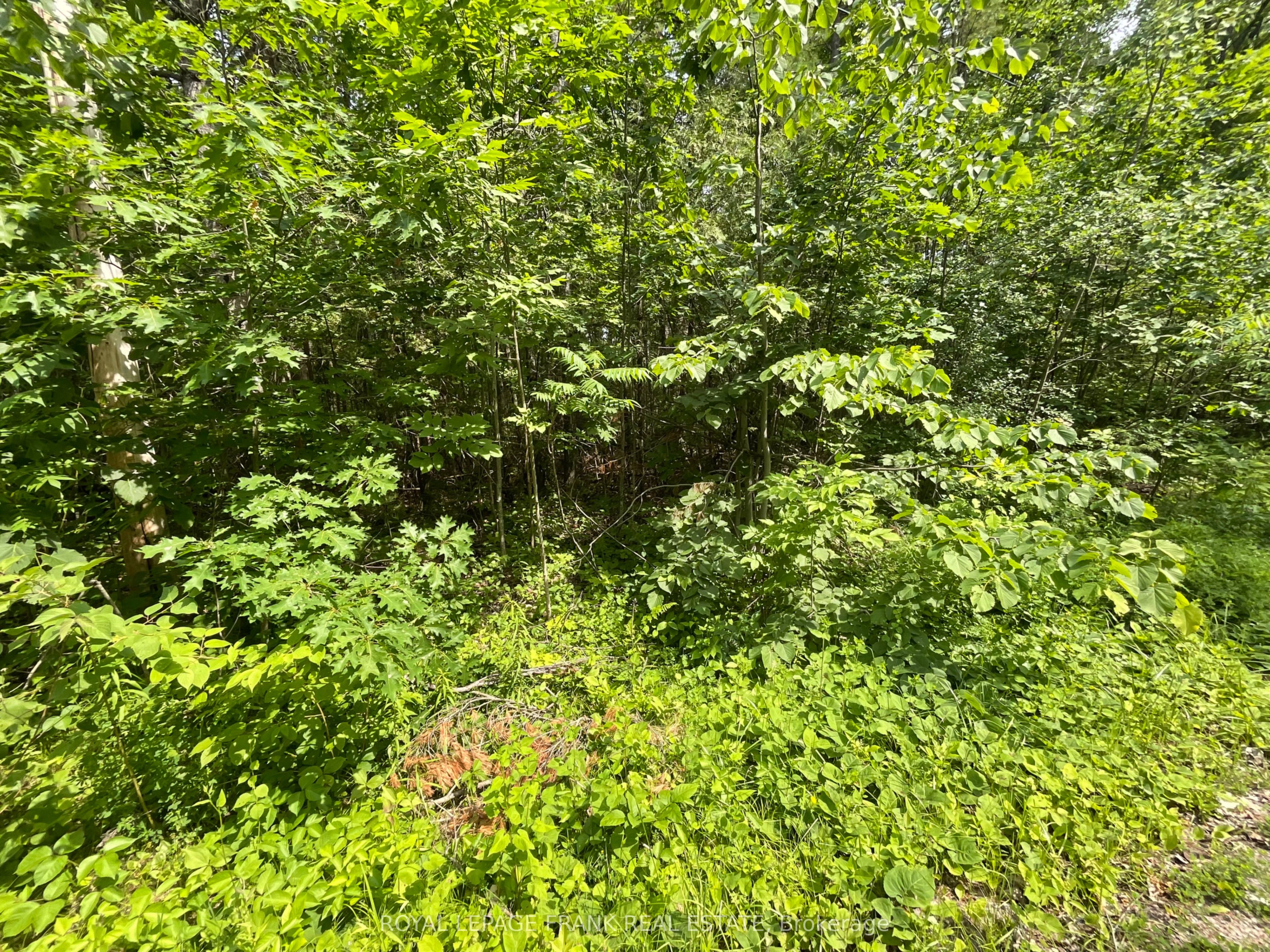 0 Sugarbush Crescent Property Photo 7
