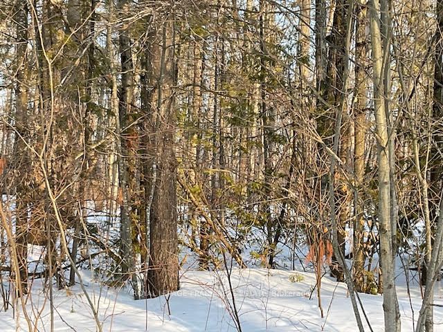 0 Sugarbush Crescent Property Photo 8