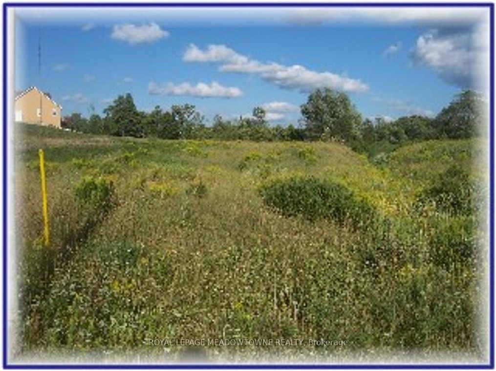 Lot 67 Brewester's Lake Road Property Photo 8