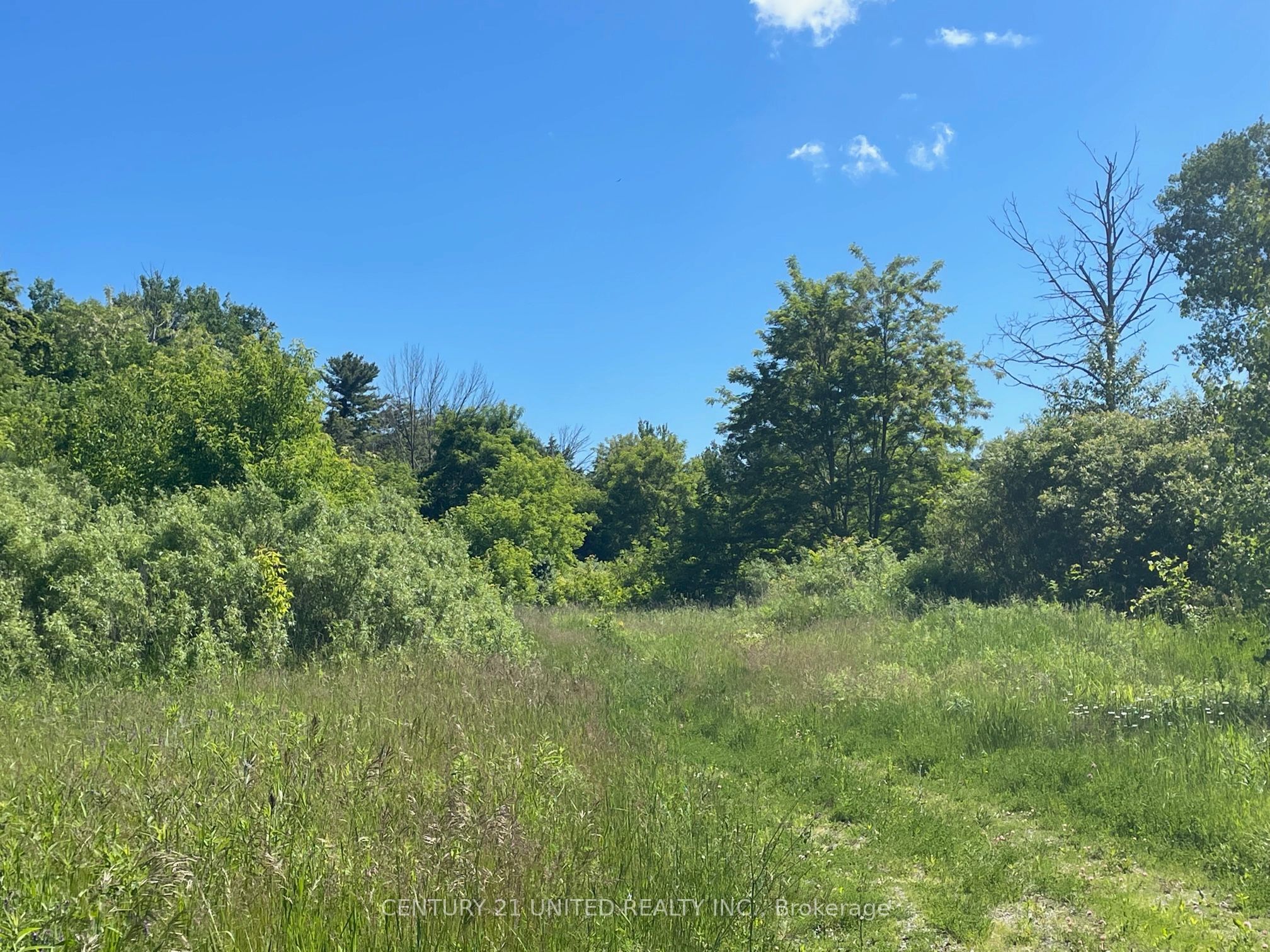 Part Lot 9 Workman Road Property Photo 6