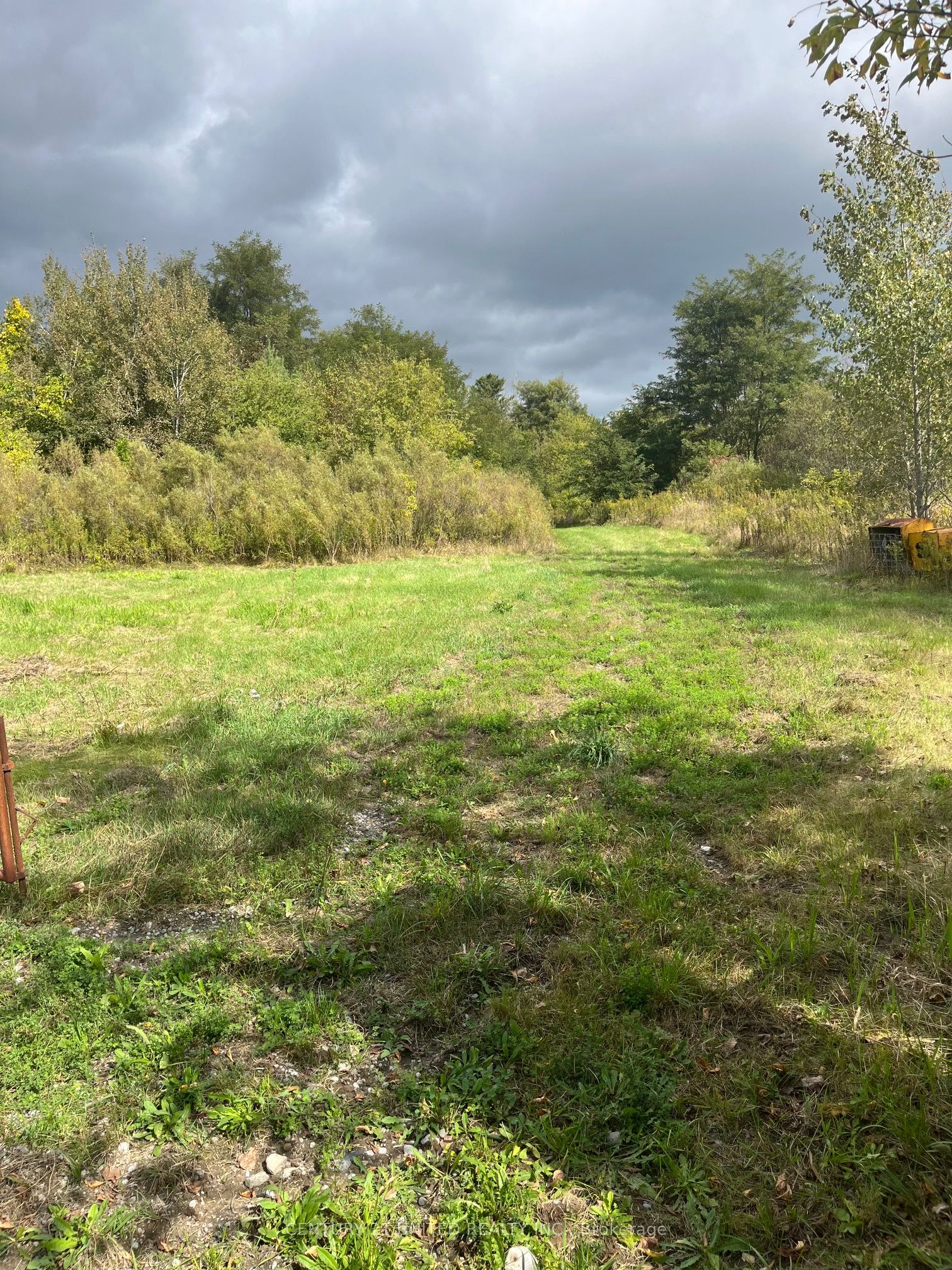 Part Lot 9 Workman Road Property Photo 8
