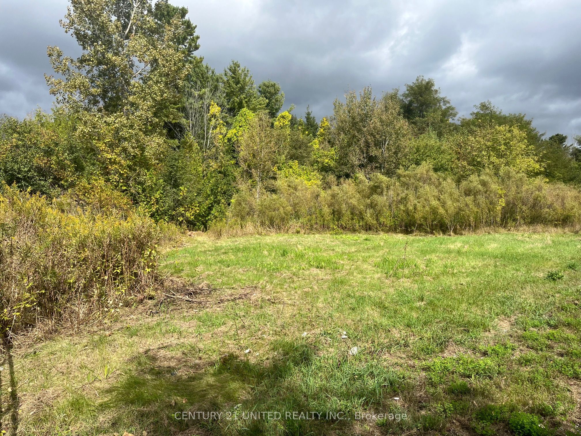 Part Lot 9 Workman Road Property Photo 9
