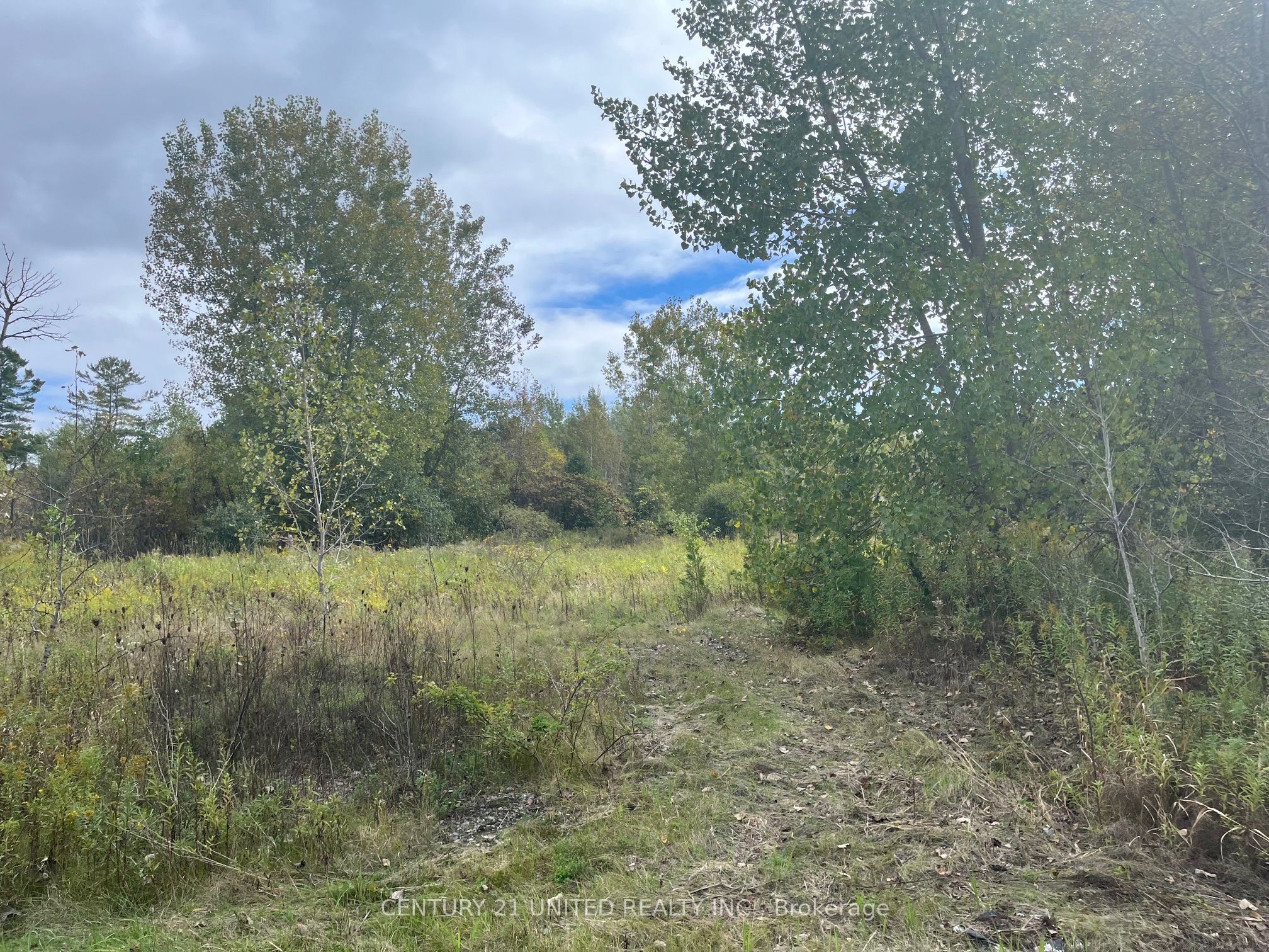 Part Lot 9 Workman Road Property Photo 10
