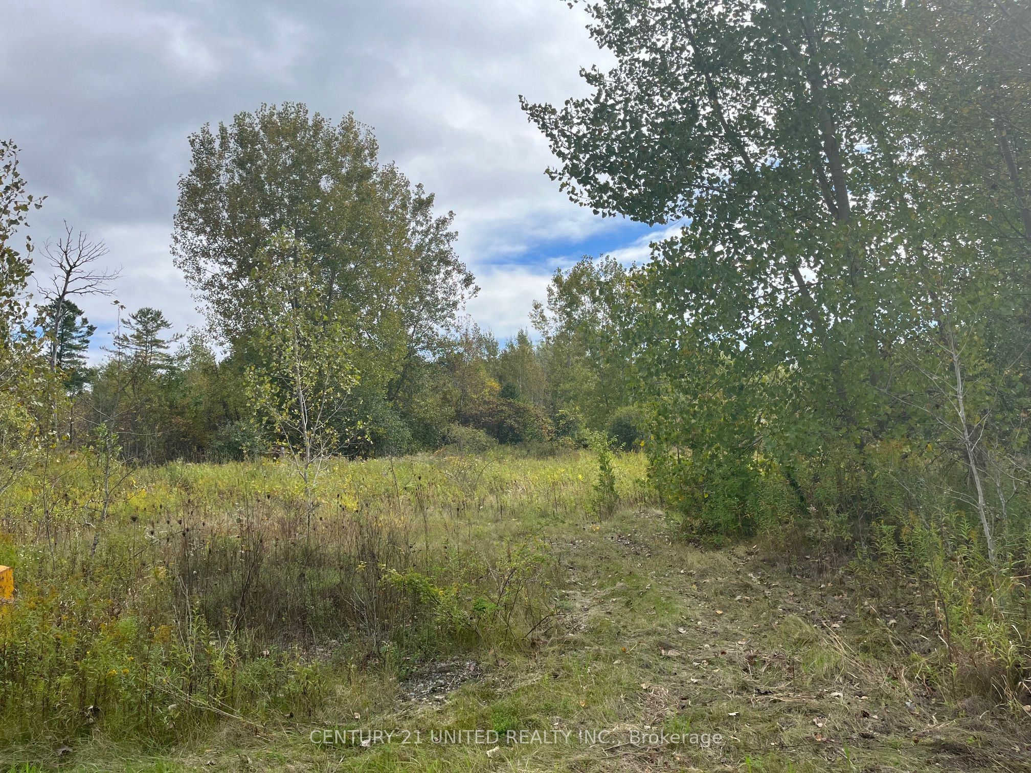 Part Lot 9 Workman Road Property Photo 11
