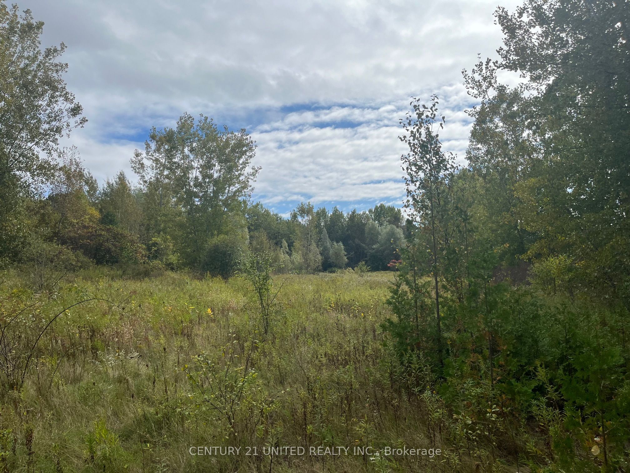 Part Lot 9 Workman Road Property Photo 12