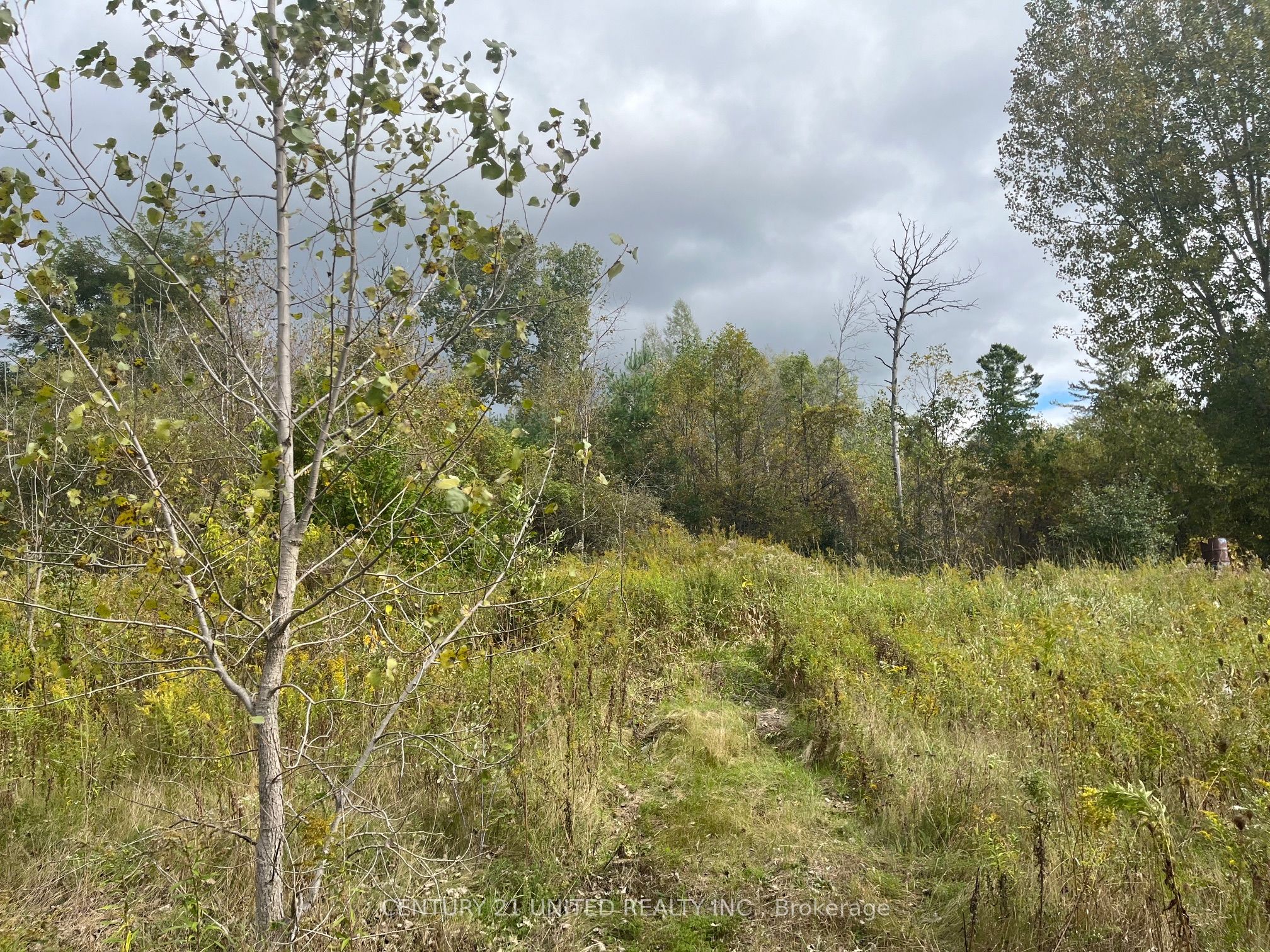 Part Lot 9 Workman Road Property Photo 13