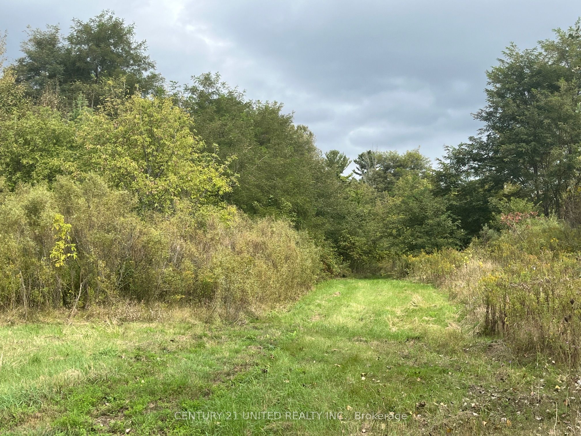 Part Lot 9 Workman Road Property Photo 14