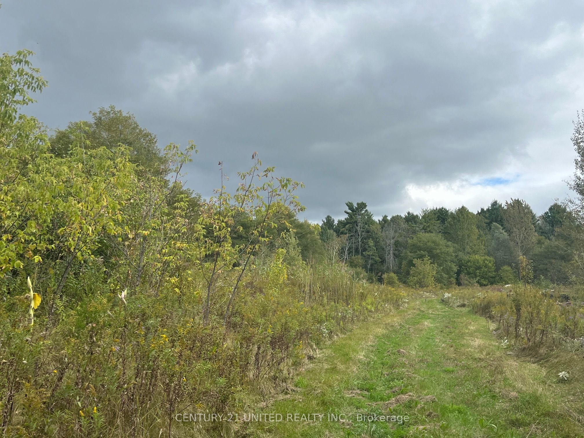 Part Lot 9 Workman Road Property Photo 15