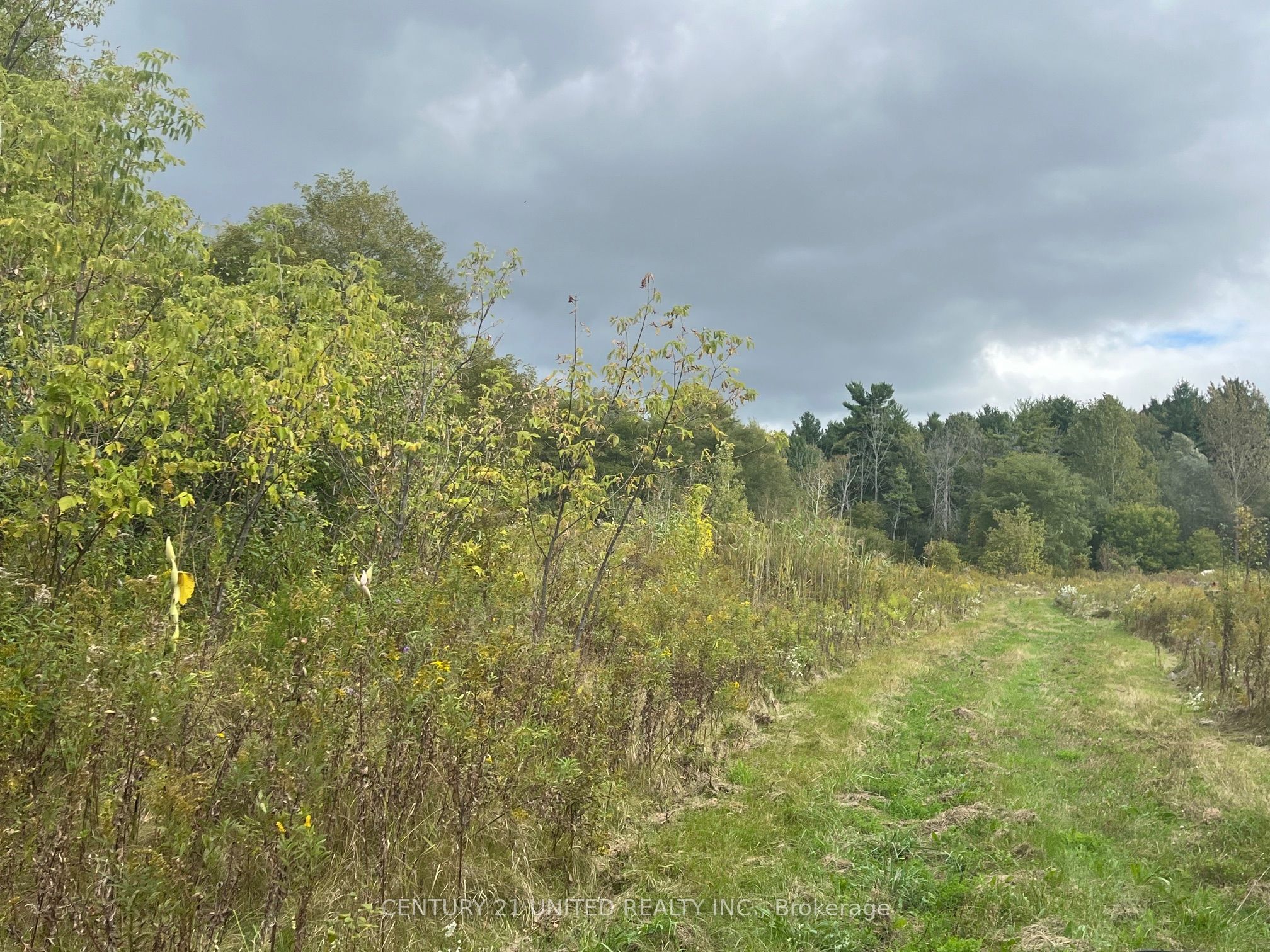Part Lot 9 Workman Road Property Photo 16