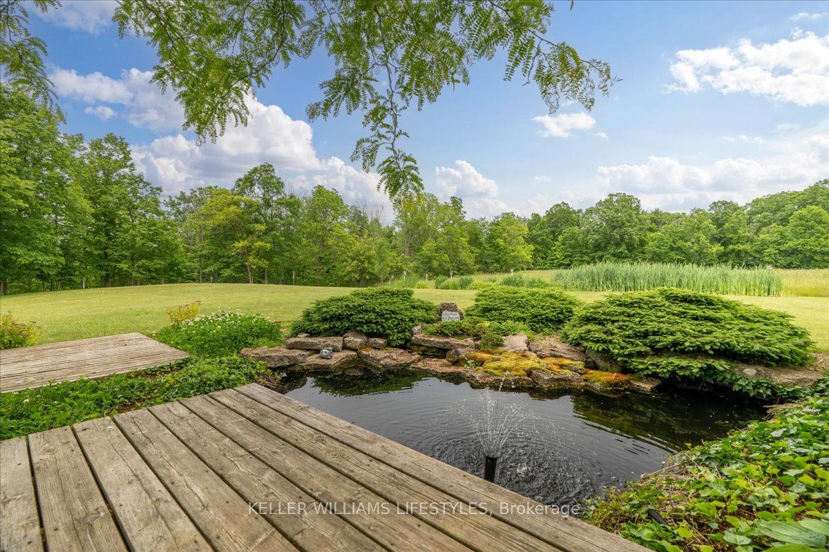 25728 Mcmurchy Line Property Photo 33