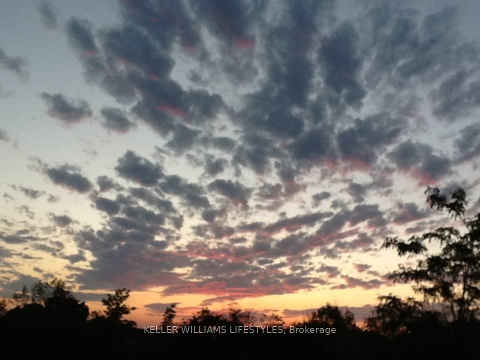 25728 Mcmurchy Line Property Photo 43