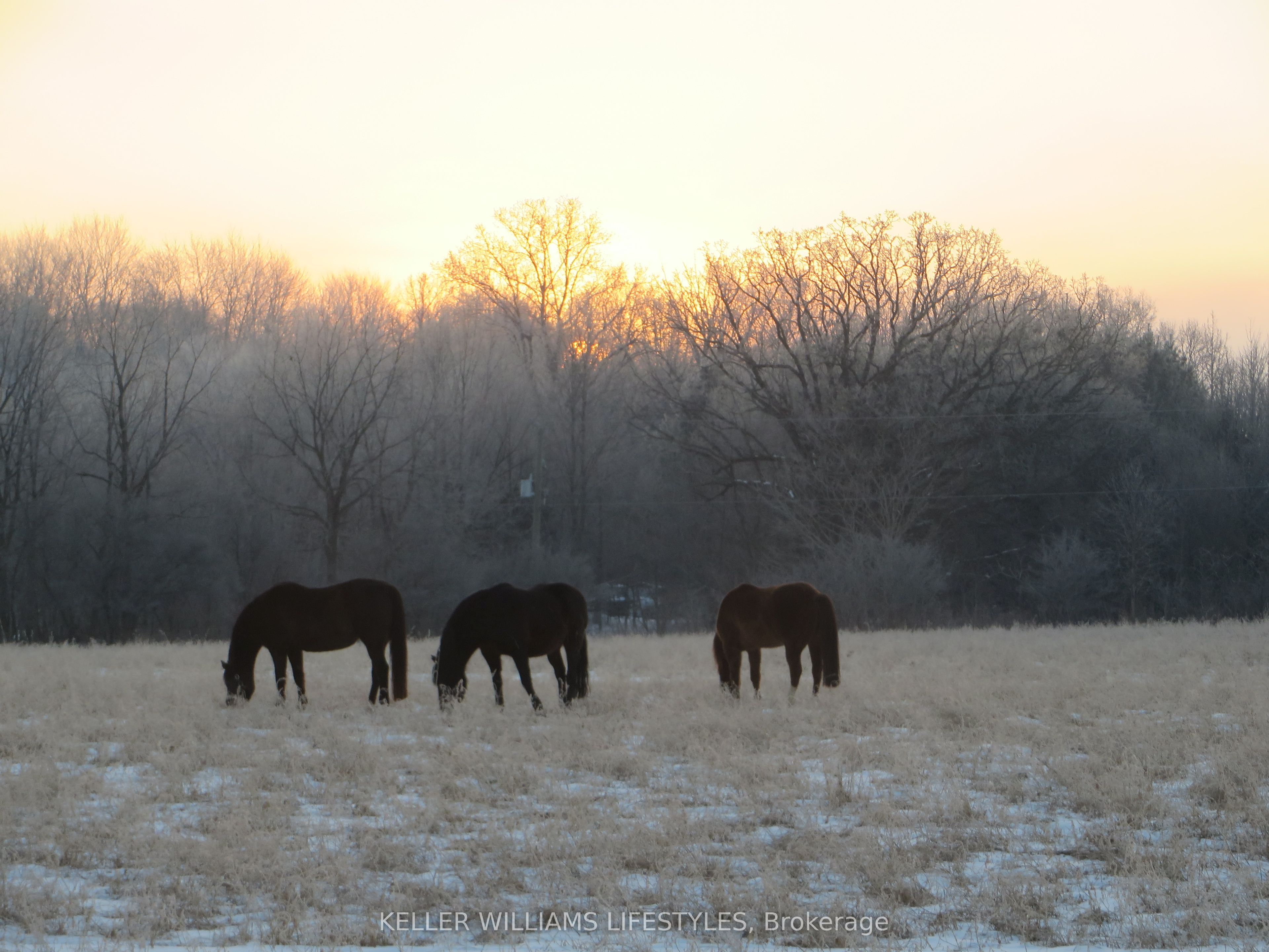 25728 Mcmurchy Line Property Photo 44