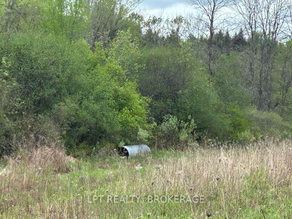 4374 Lords Mills Road Property Photo 7