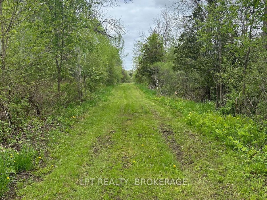 4374 Lords Mills Road Property Photo 8