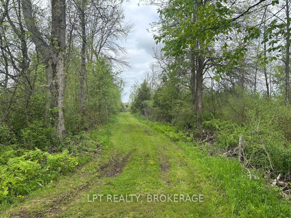 4374 Lords Mills Road Property Photo 9