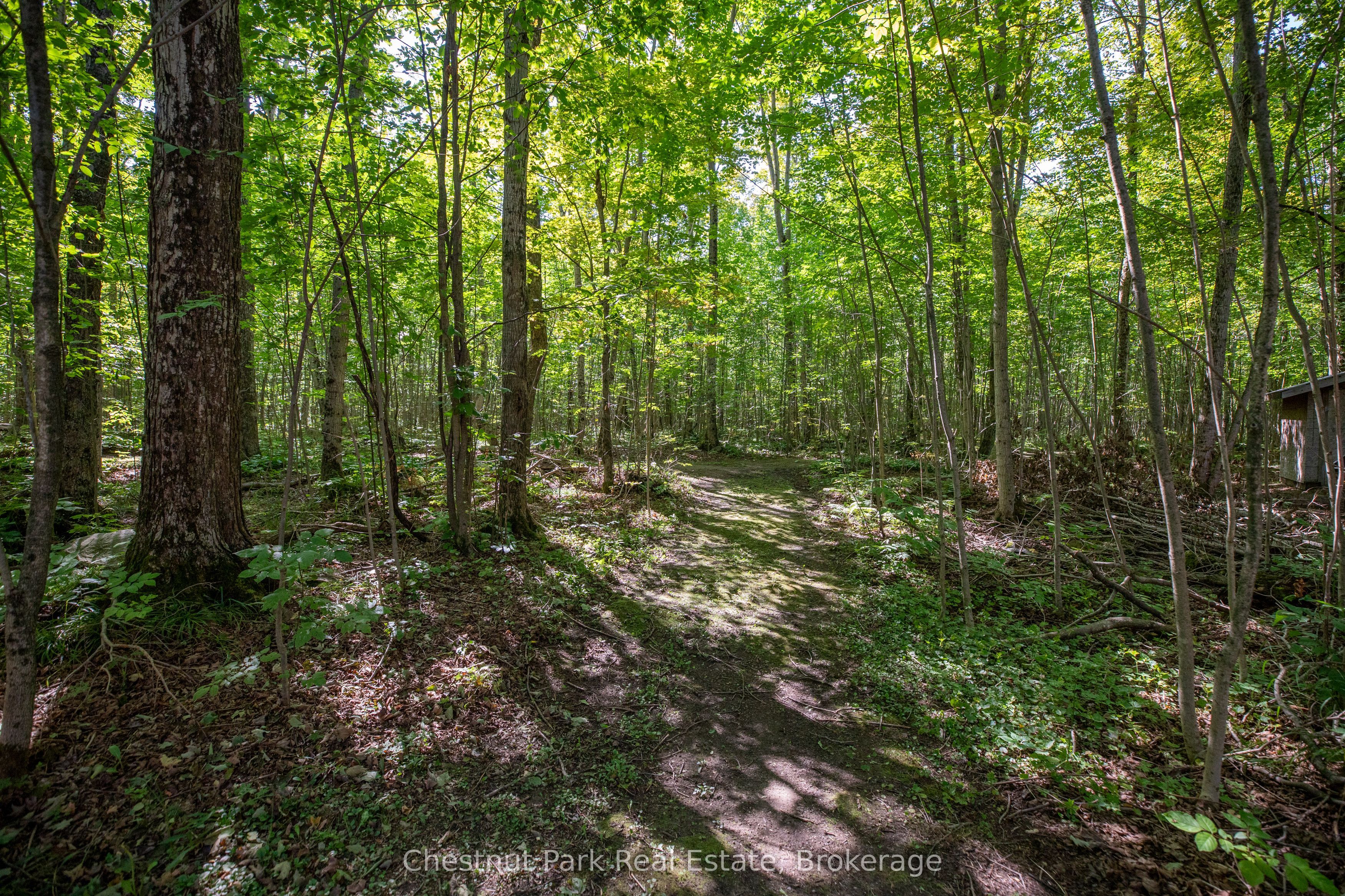 89 Tammys Cove Road Property Photo 9