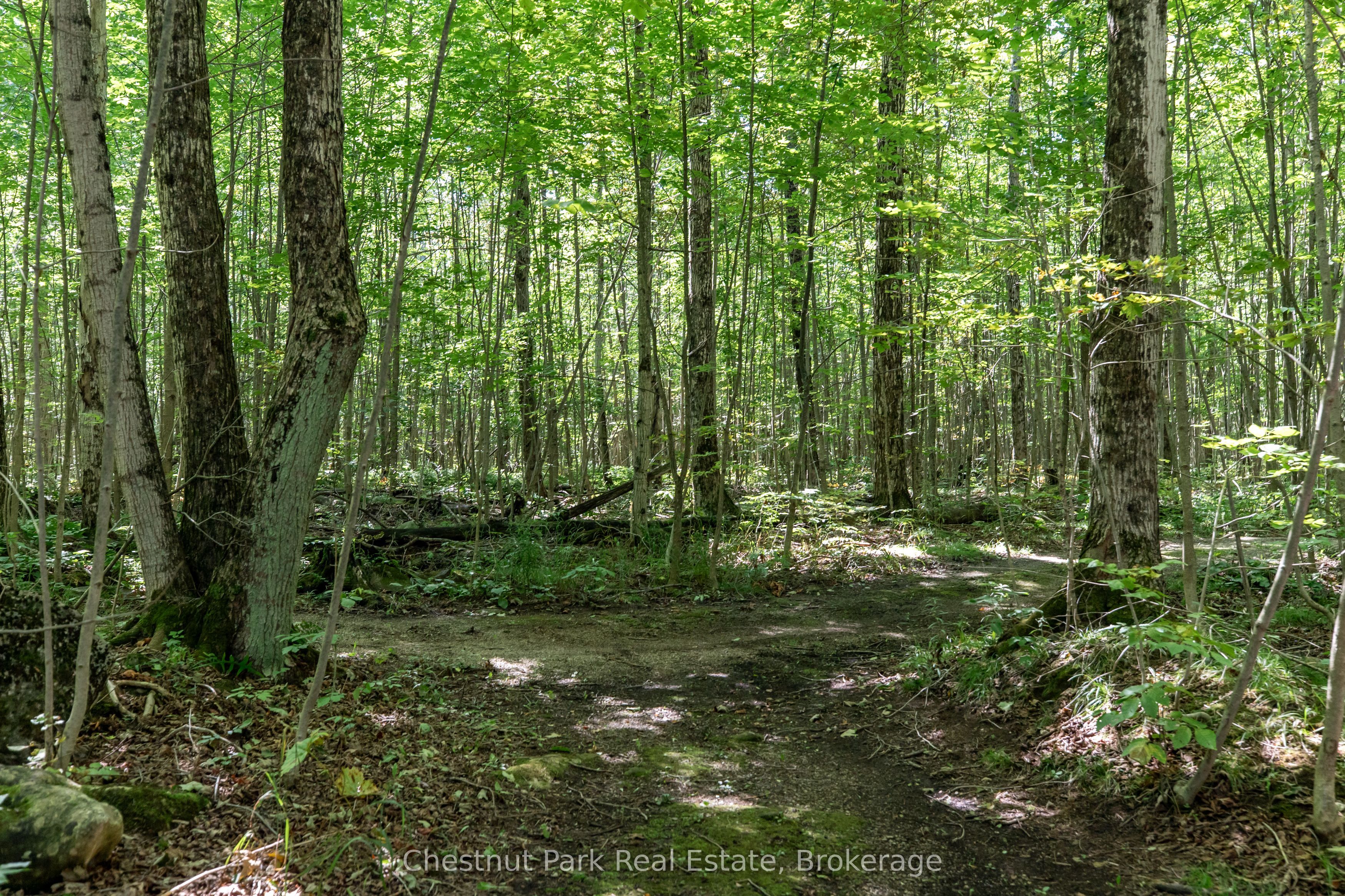 89 Tammys Cove Road Property Photo 12