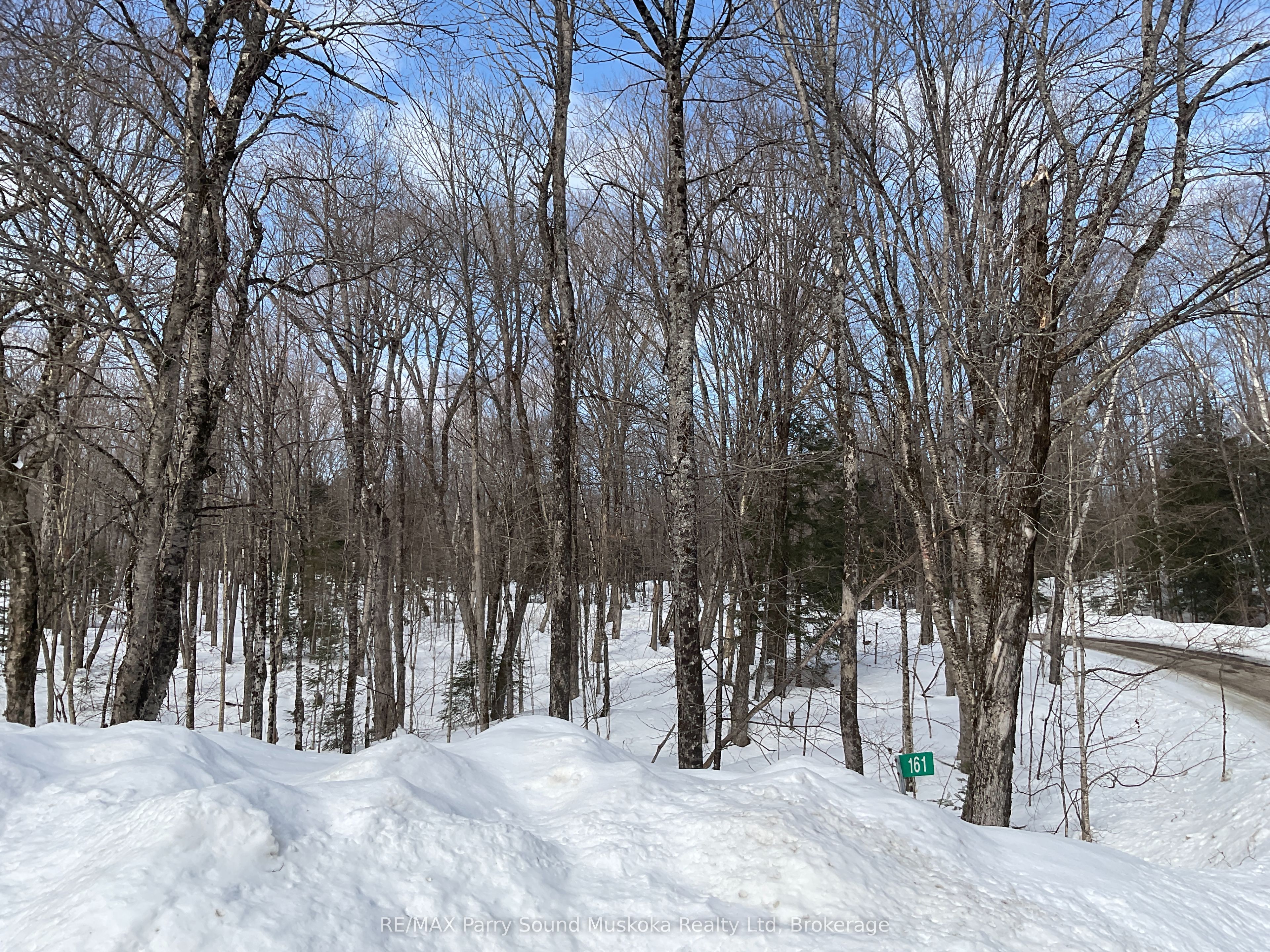 161 - 25 Balsam Creek Road Property Photo 8
