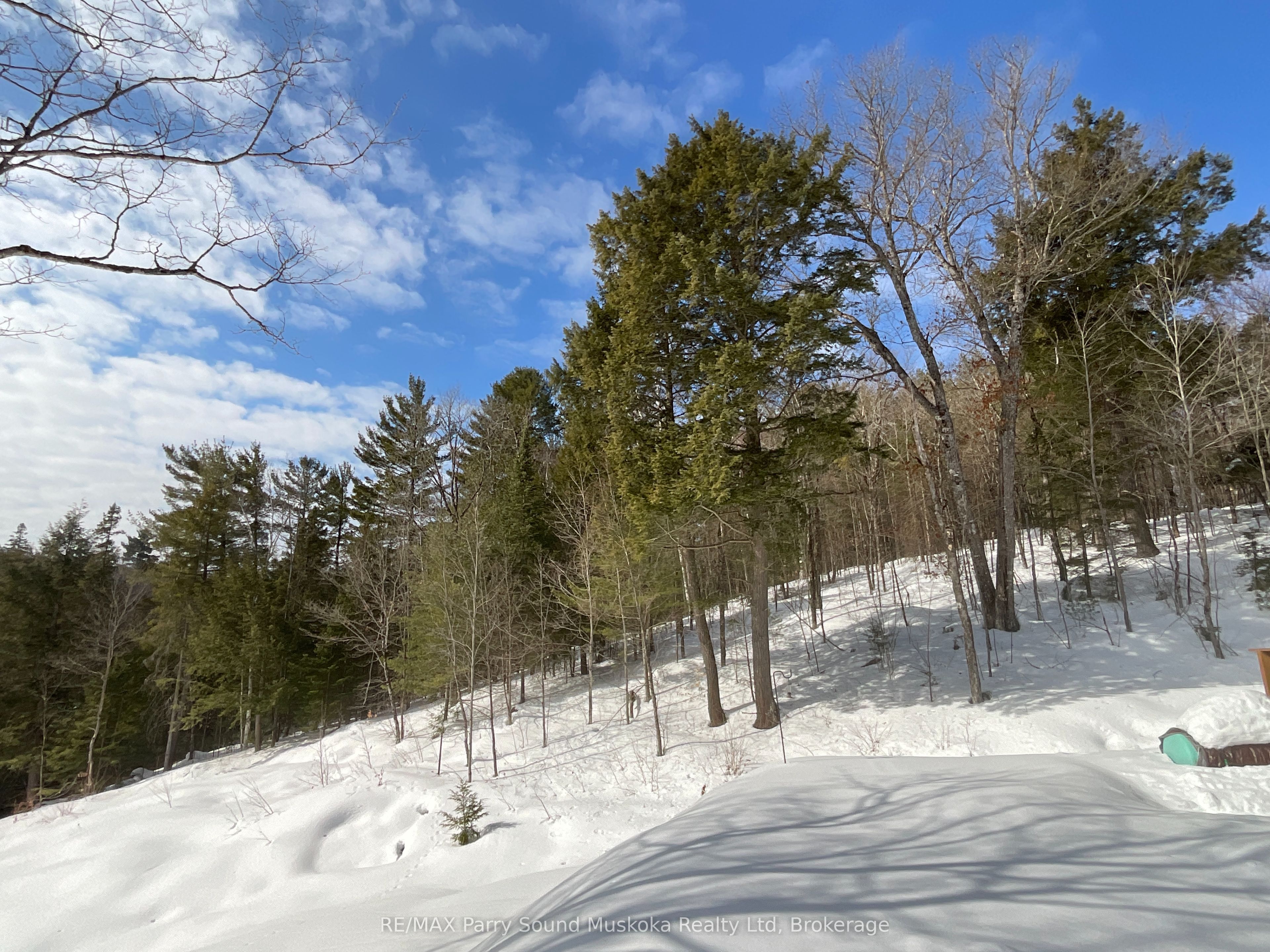 161 - 25 Balsam Creek Road Property Photo 17