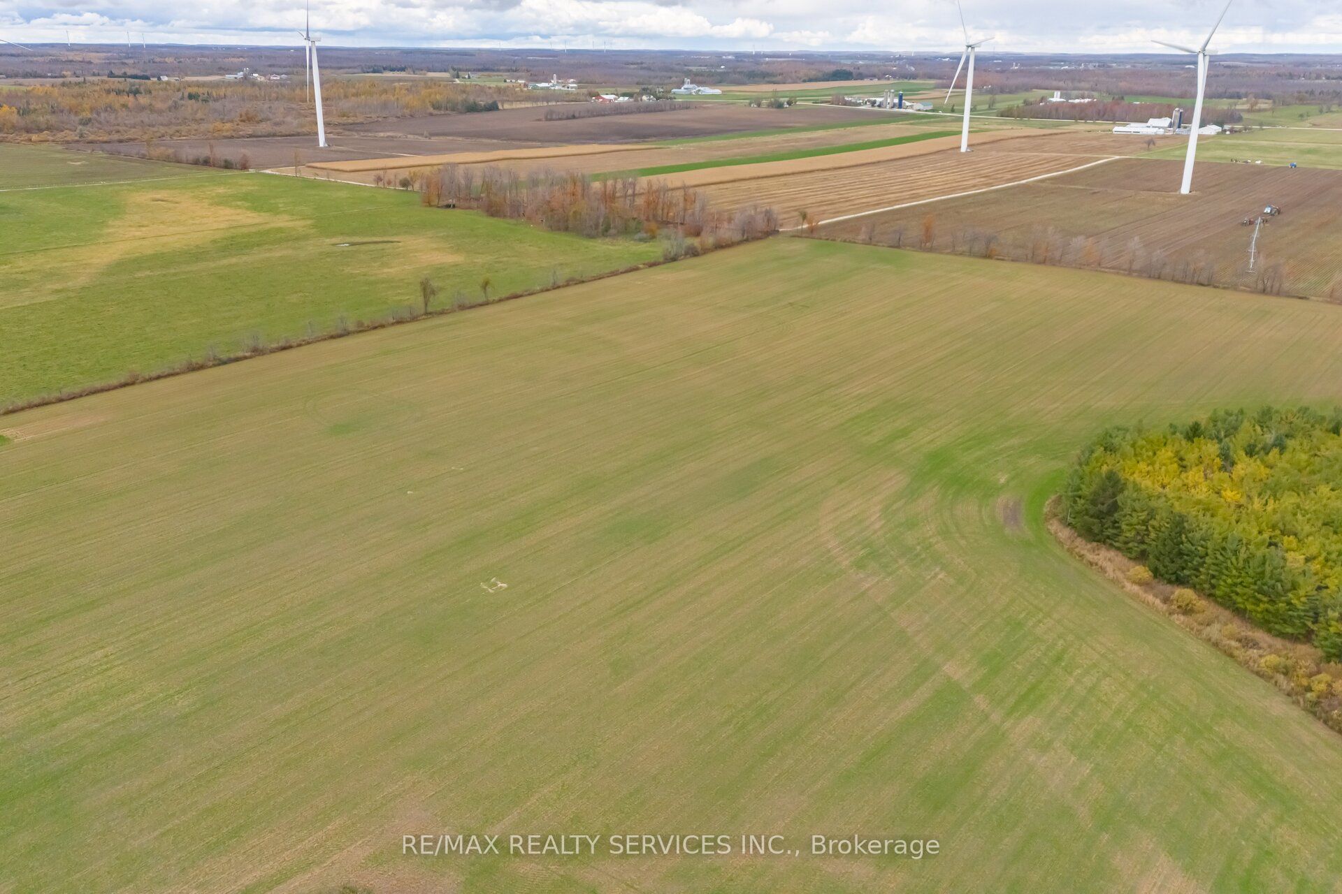 764059 240 Side Road Property Photo 48