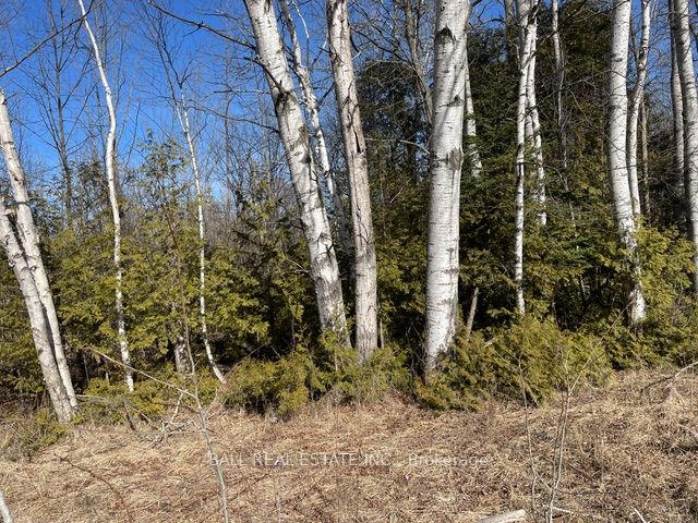 239 Concession 11w Property Photo 34