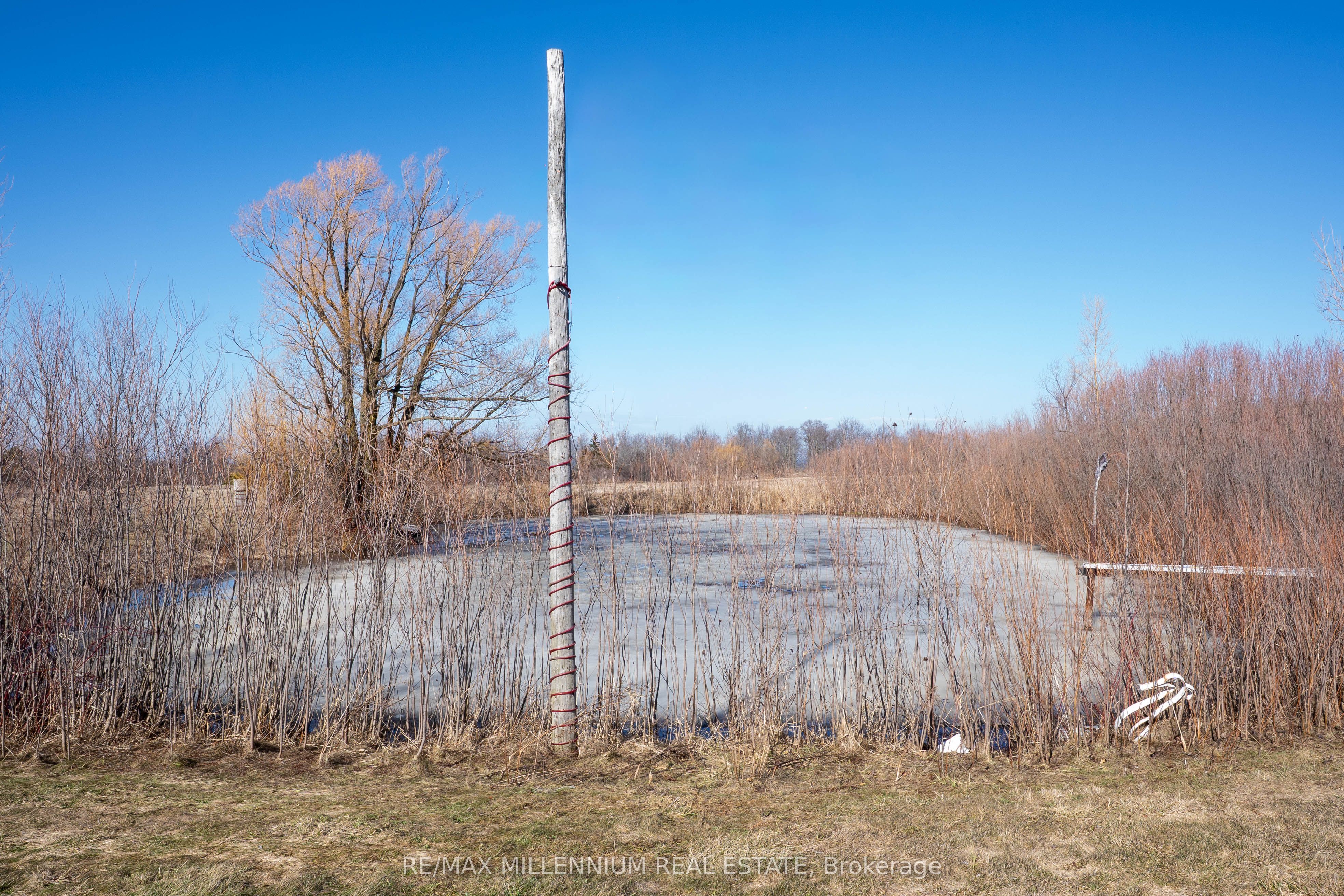 1113 Ridge Road Property Photo 3