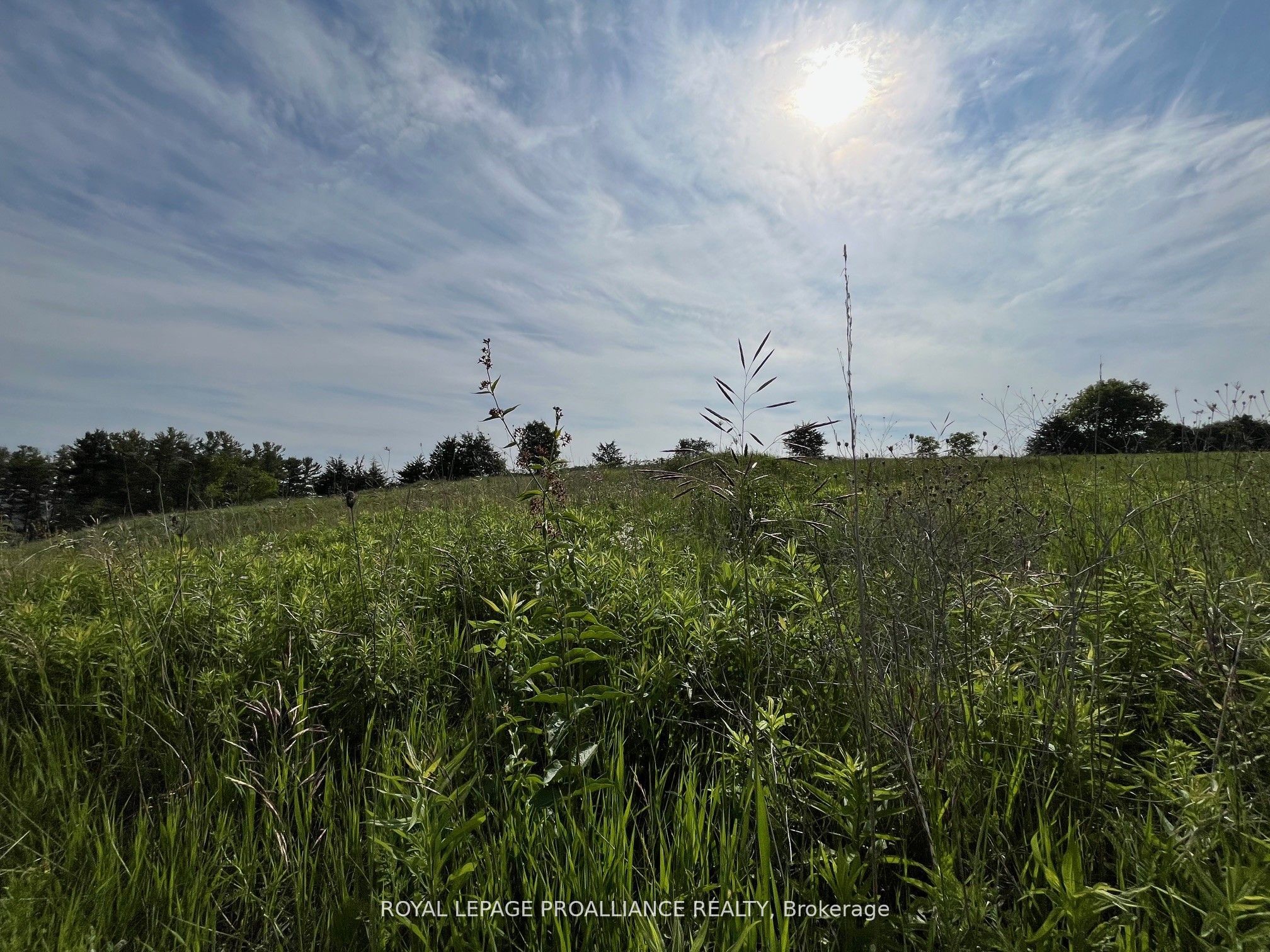 Lot 24 Mccarty Drive Property Photo 4