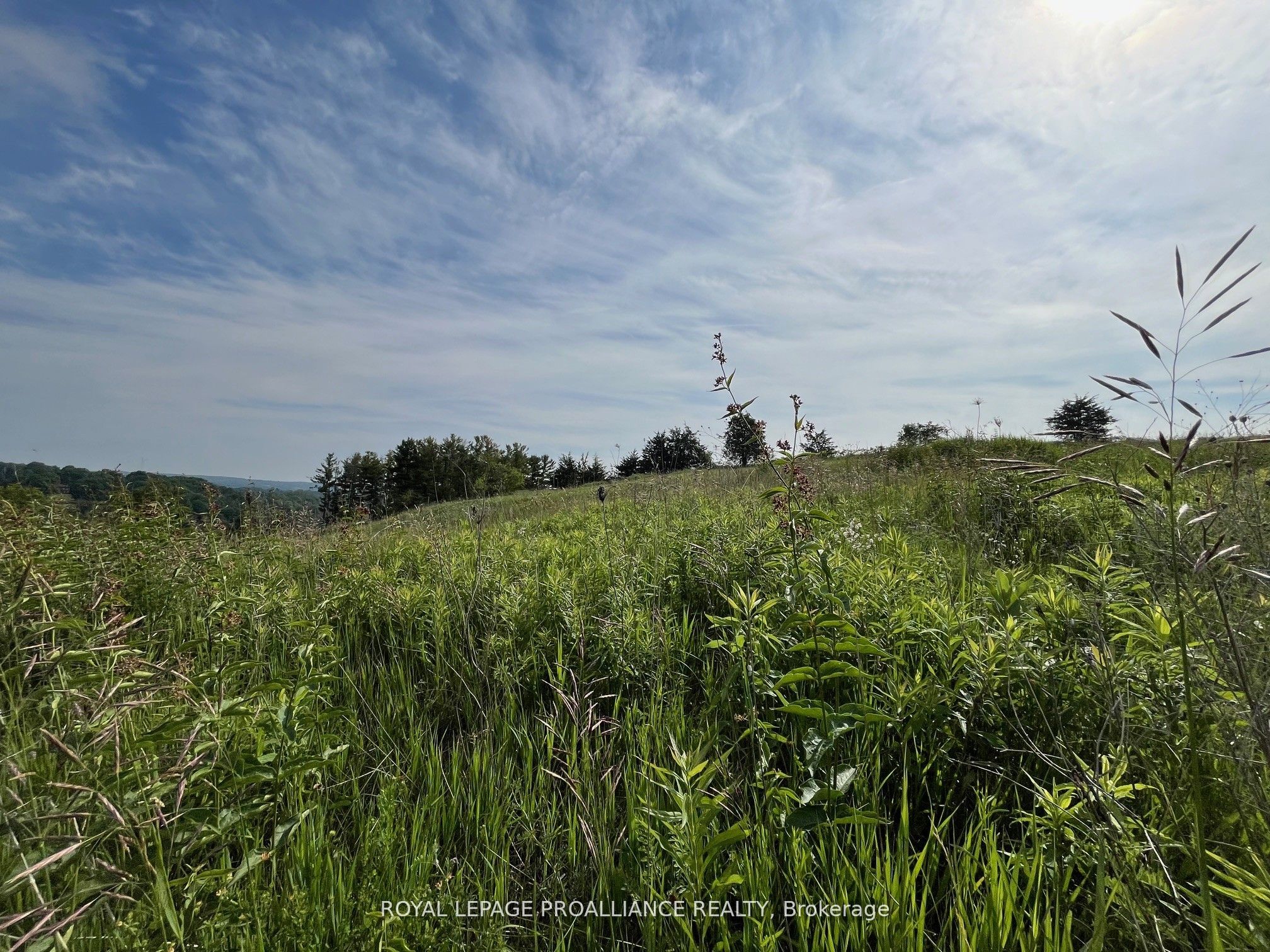 Lot 24 Mccarty Drive Property Photo 5