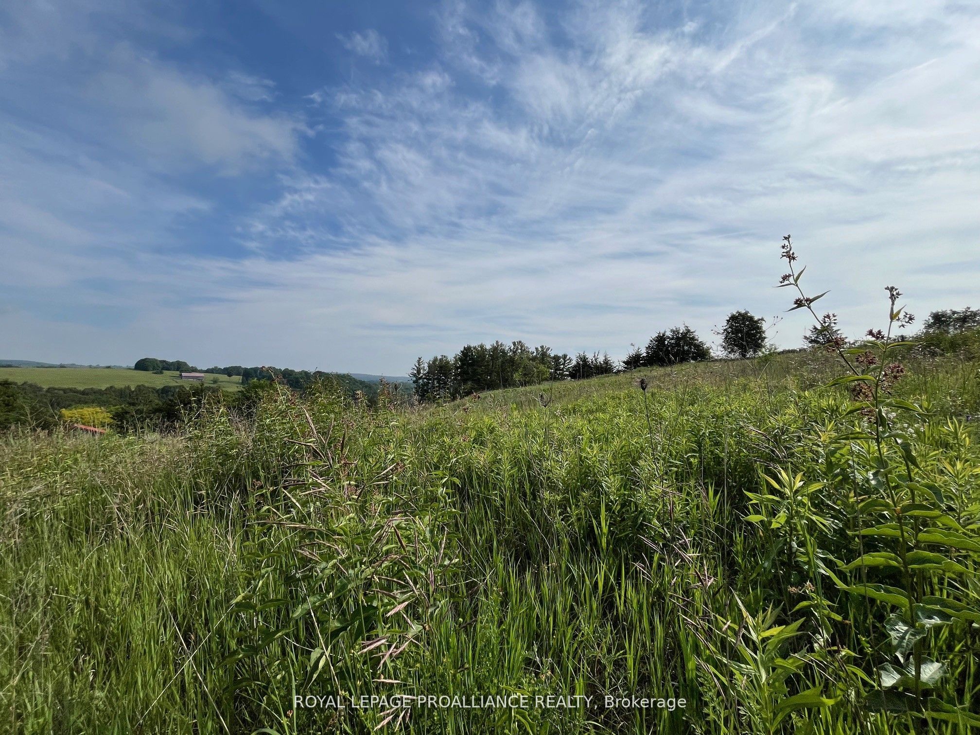 Lot 24 Mccarty Drive Property Photo 6