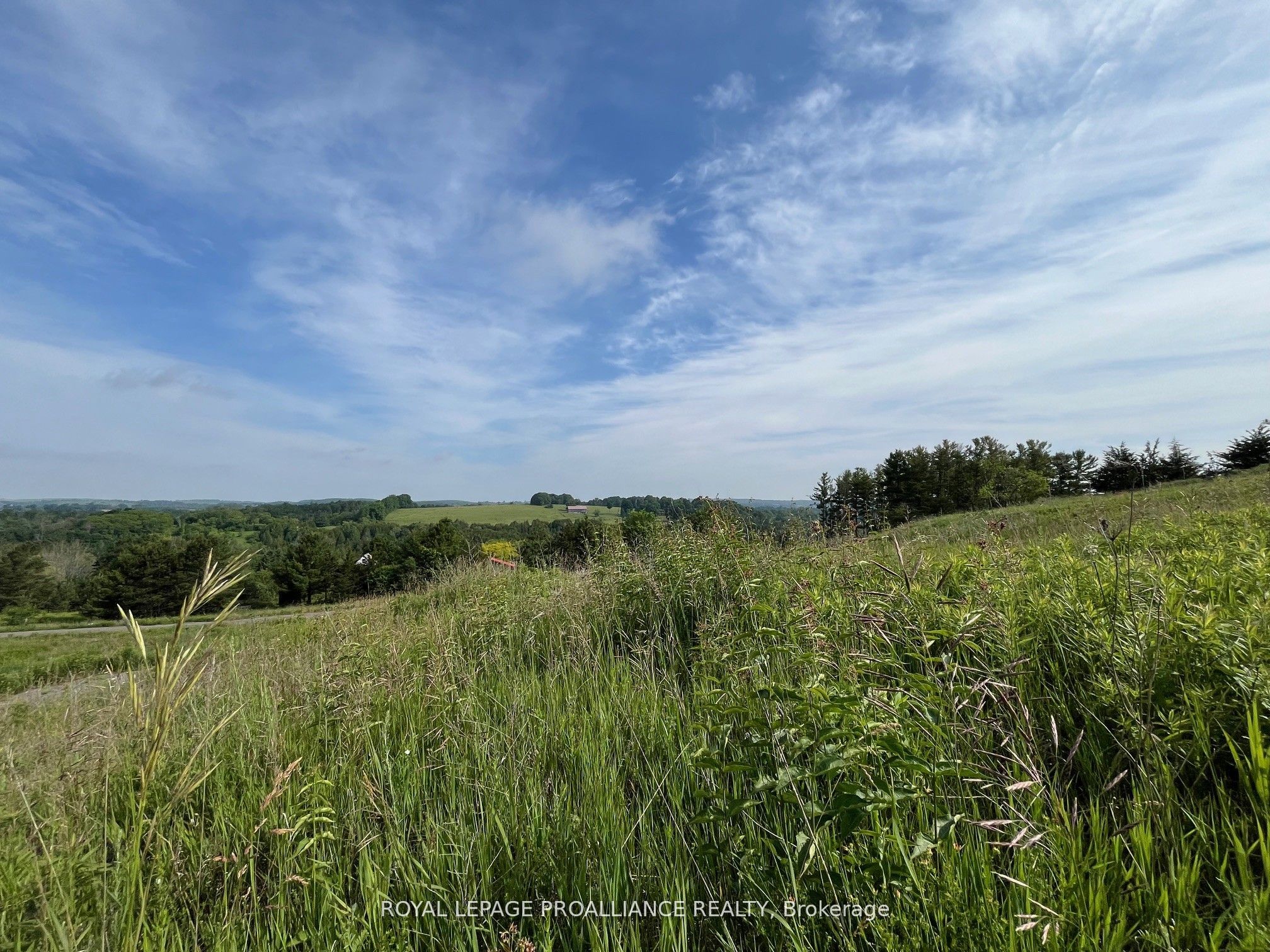 Lot 24 Mccarty Drive Property Photo 7