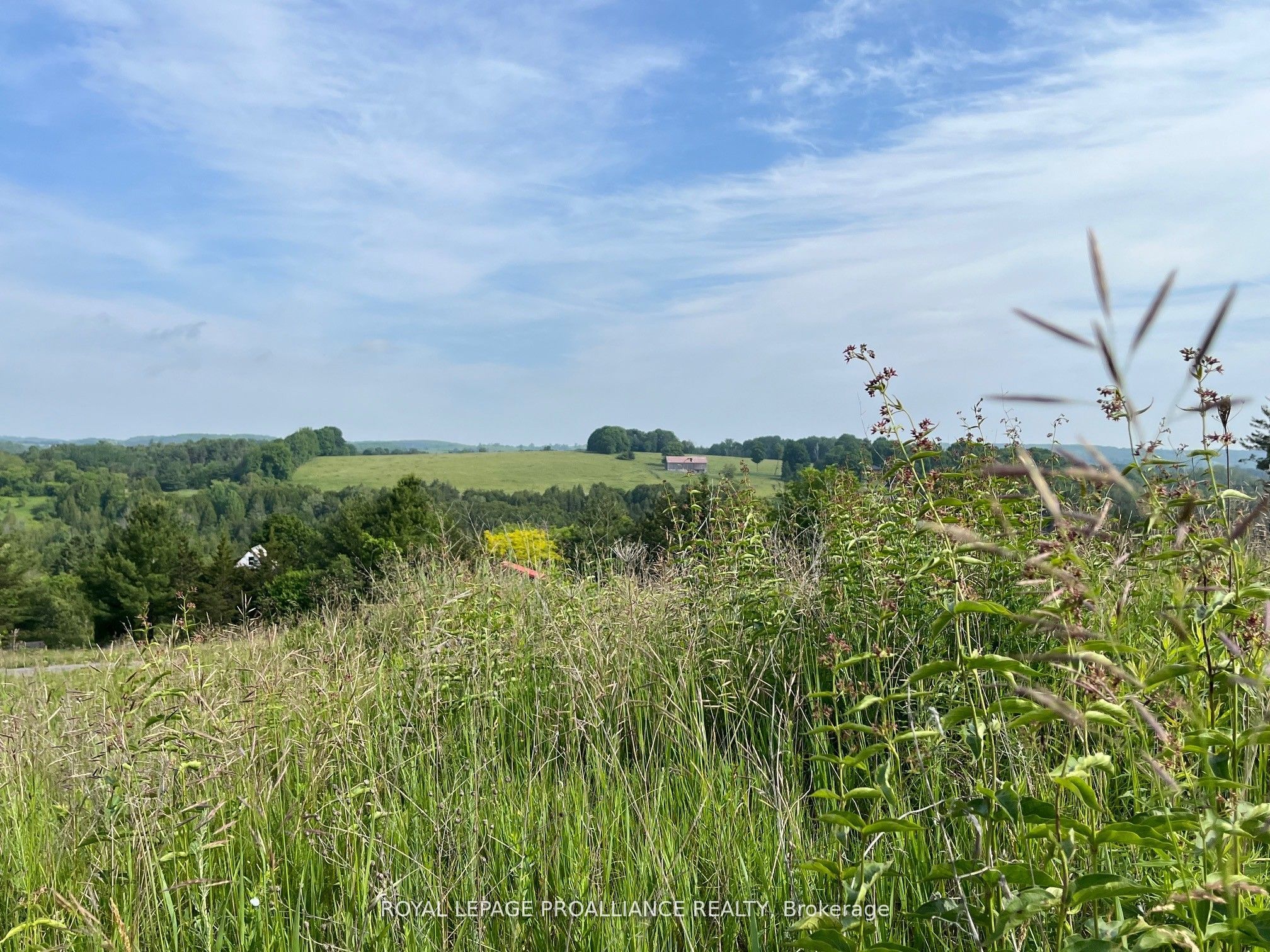 Lot 24 Mccarty Drive Property Photo 8