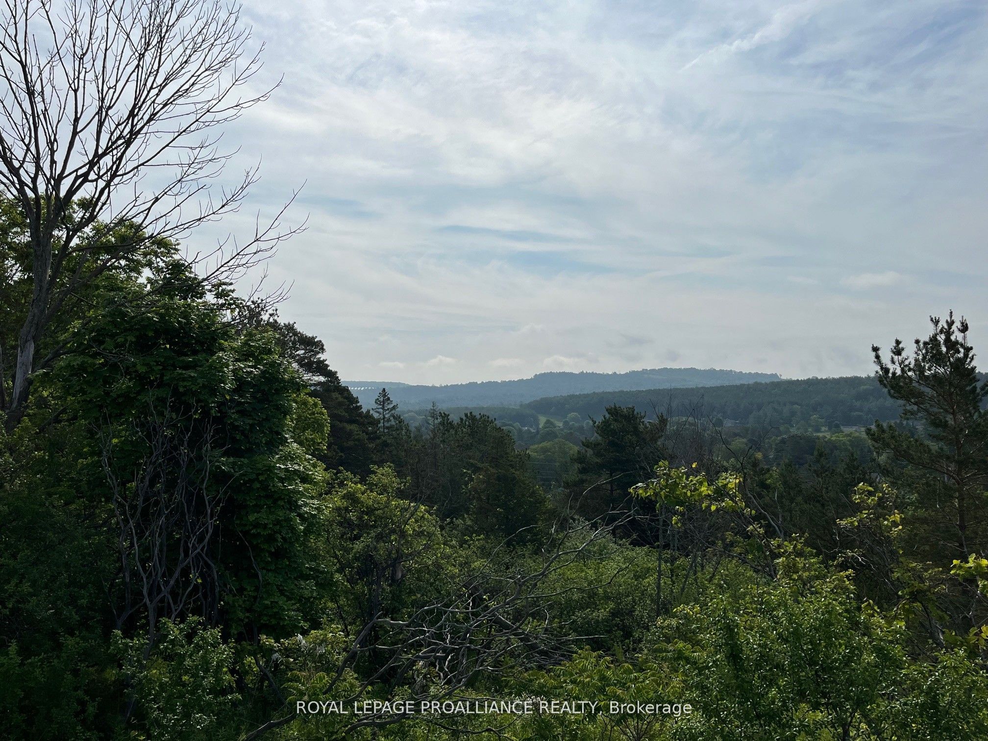 Lot 24 Mccarty Drive Property Photo 10