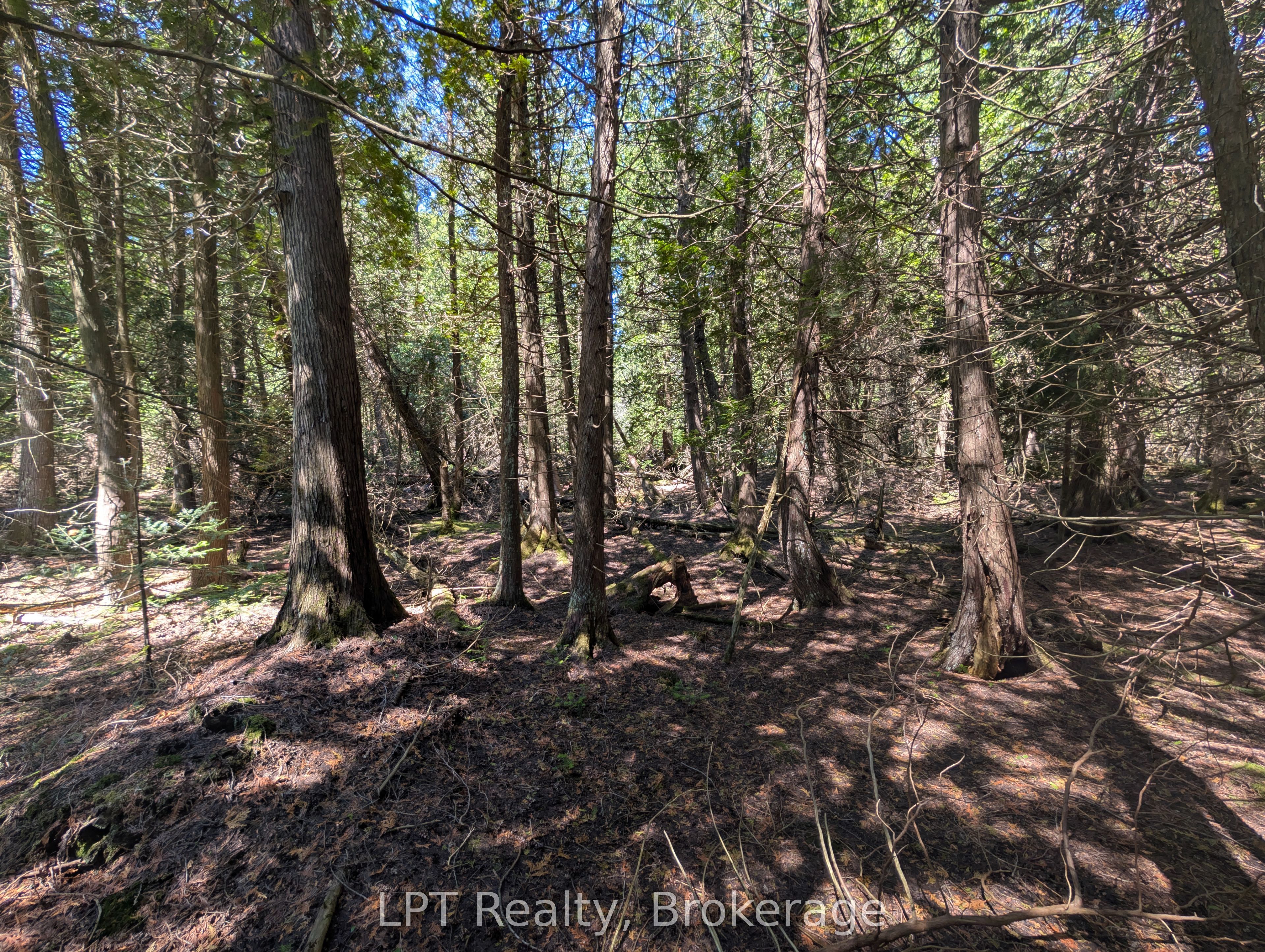 Pt Lt 56 Con 4 Cape Hurd Road Property Photo 10