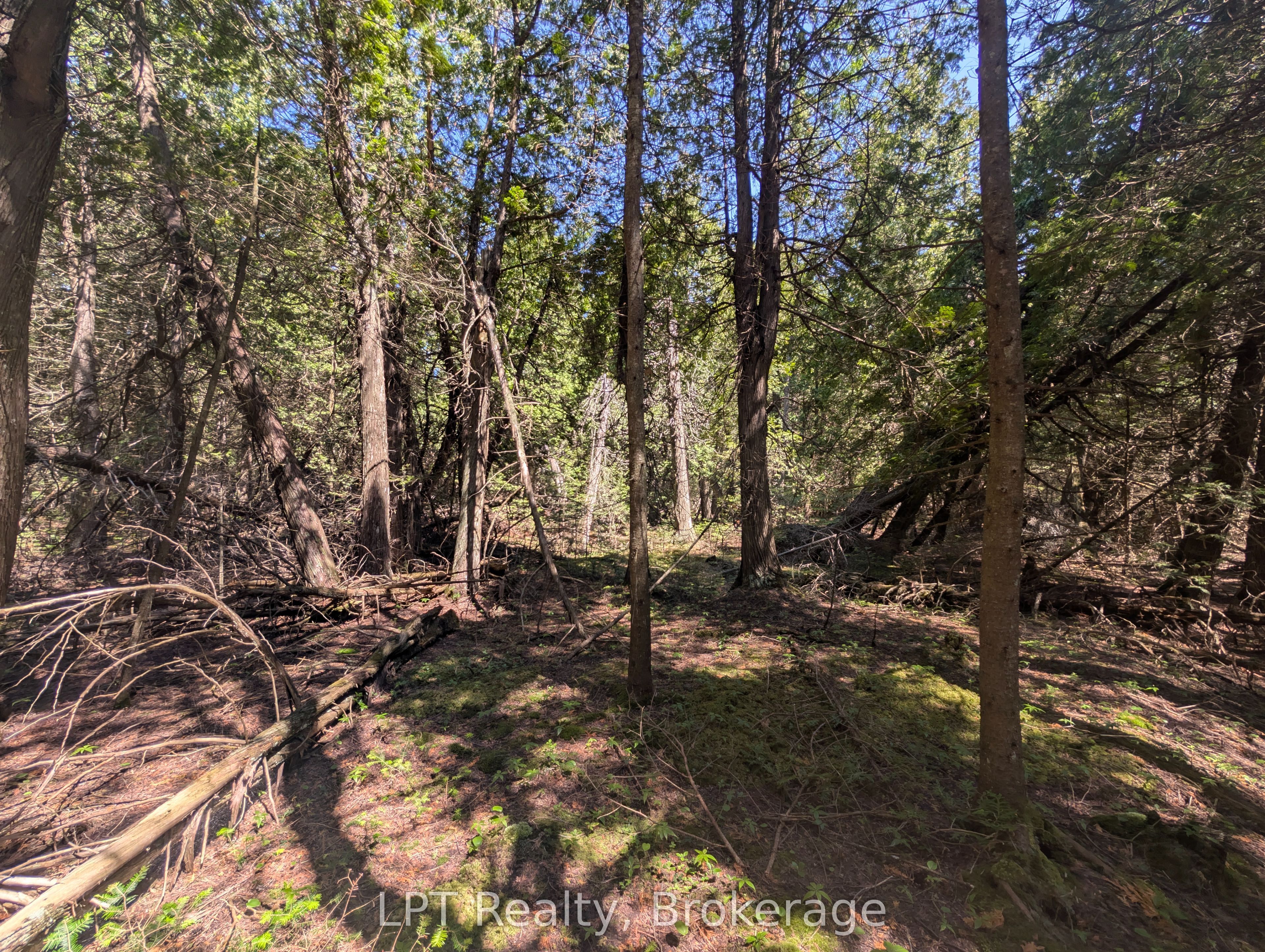 Pt Lt 56 Con 4 Cape Hurd Road Property Photo 16