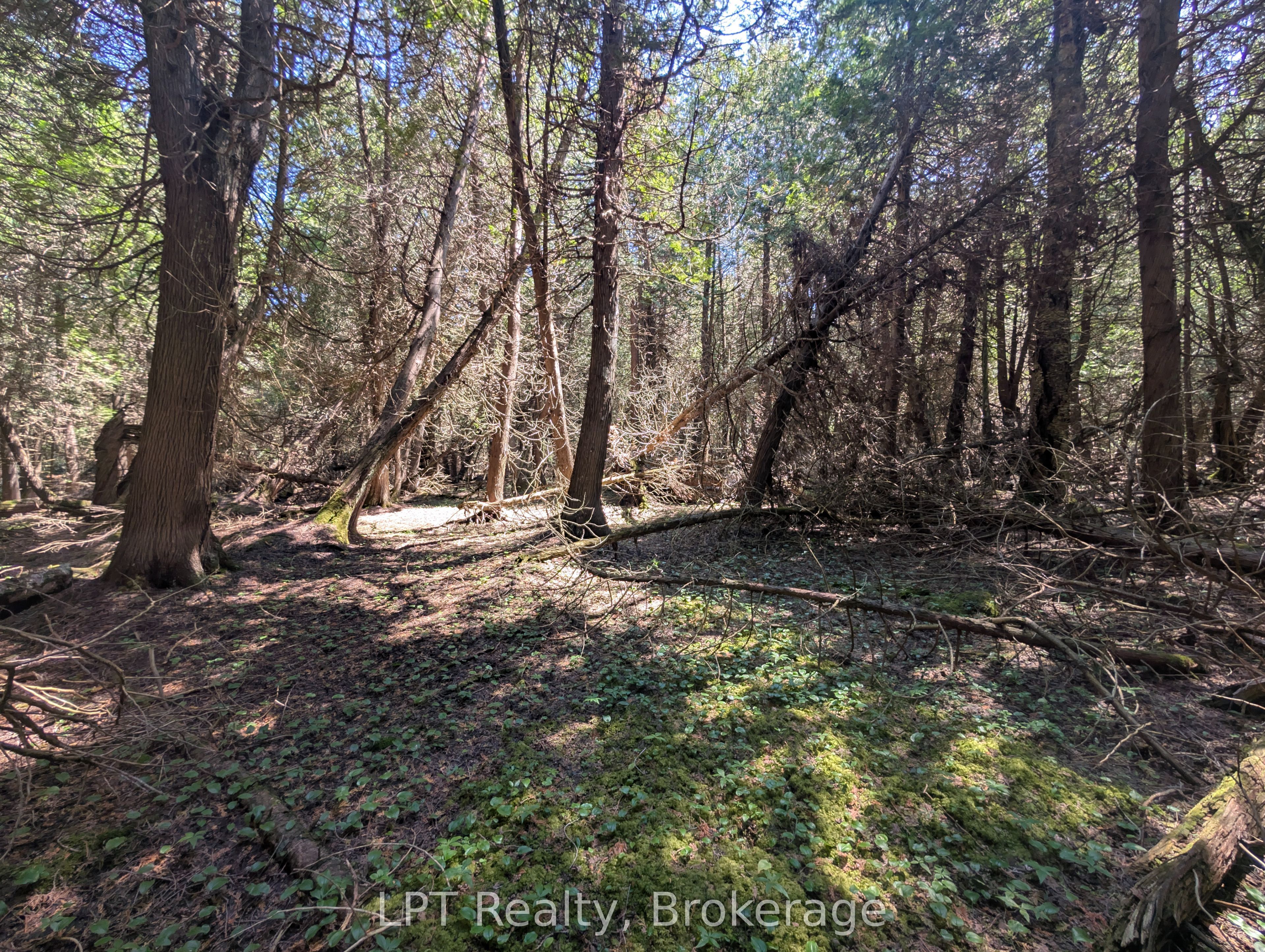 Pt Lt 56 Con 4 Cape Hurd Road Property Photo 19