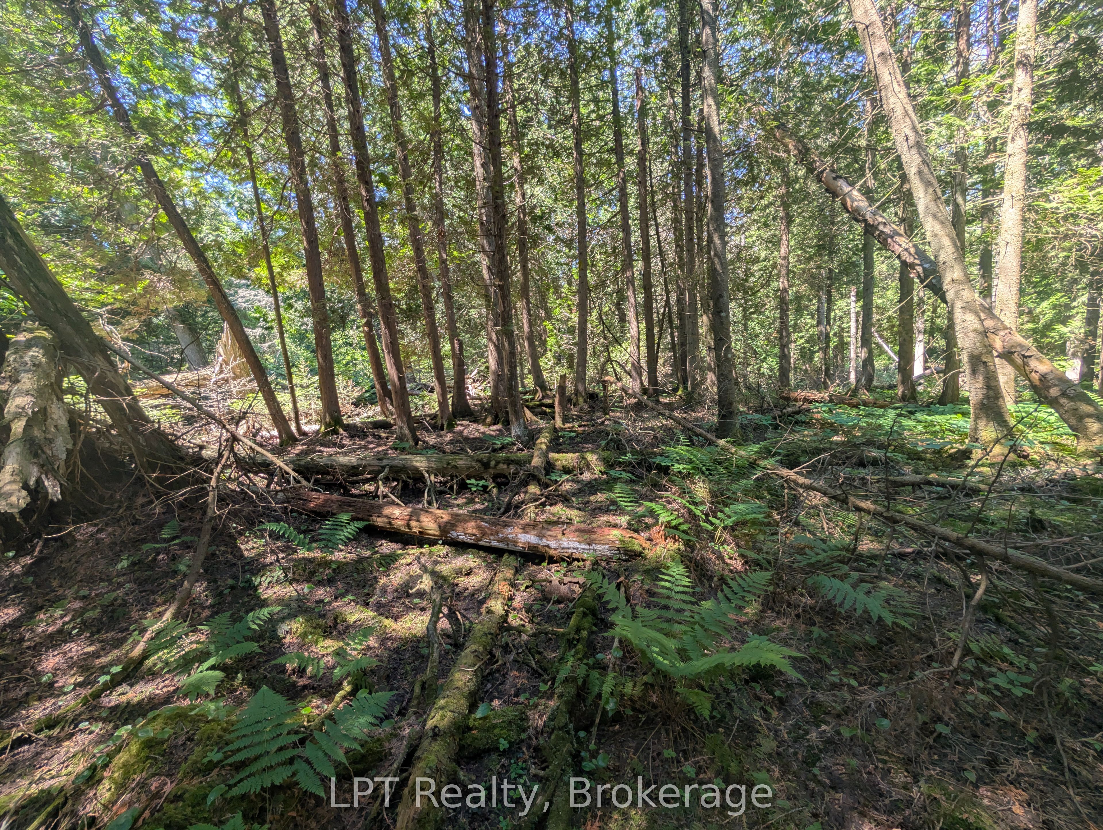 Pt Lt 56 Con 4 Cape Hurd Road Property Photo 21