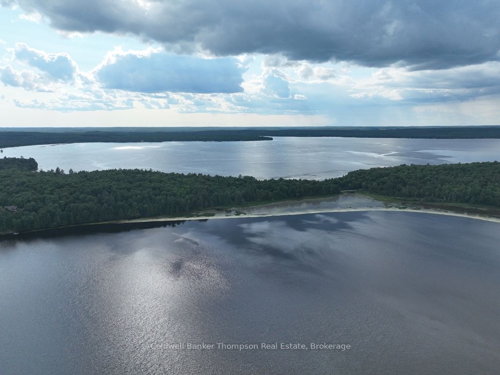 19wa Pool Lake Property Photo 19