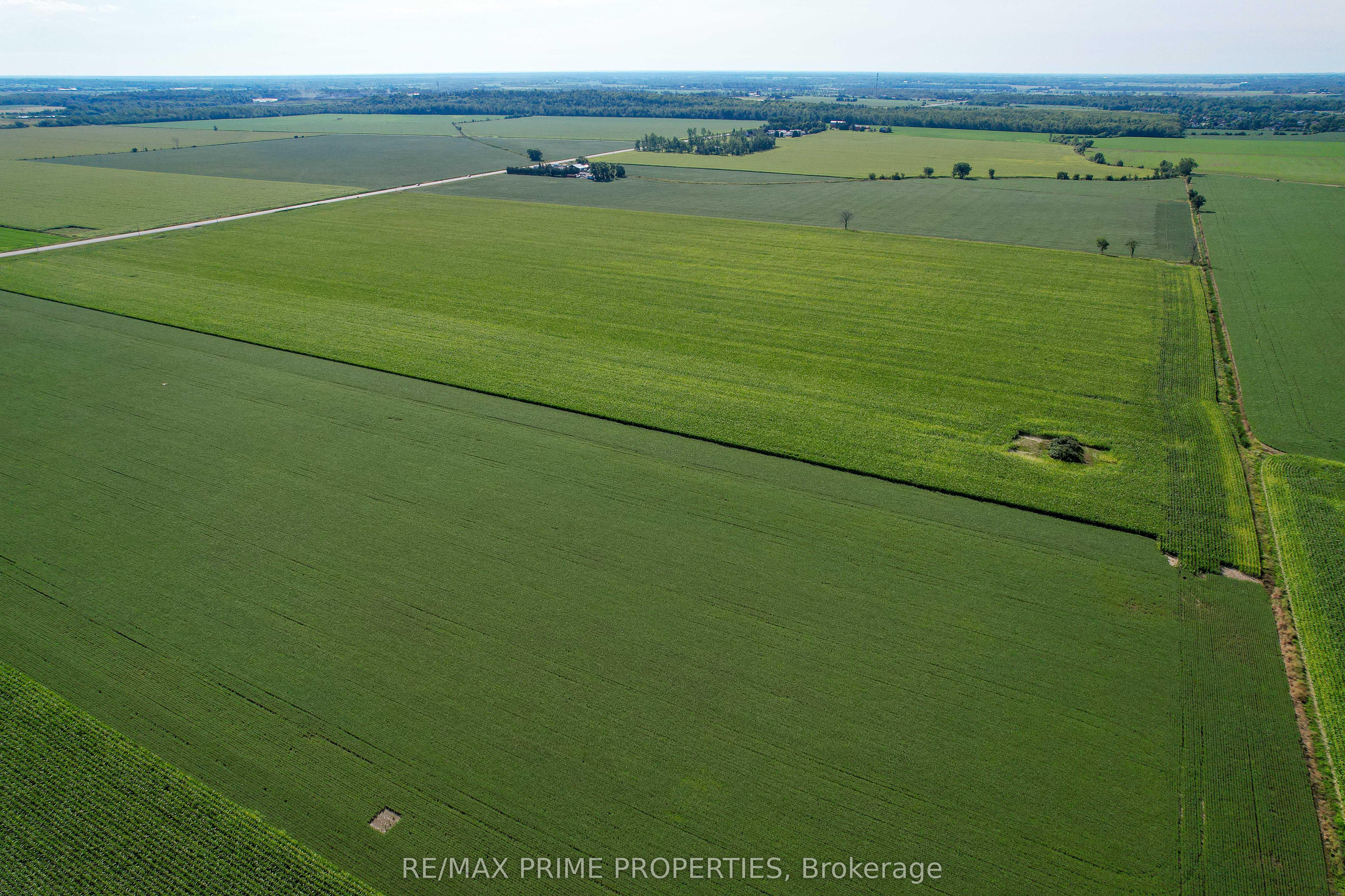 1458 Wall Road Property Photo 16