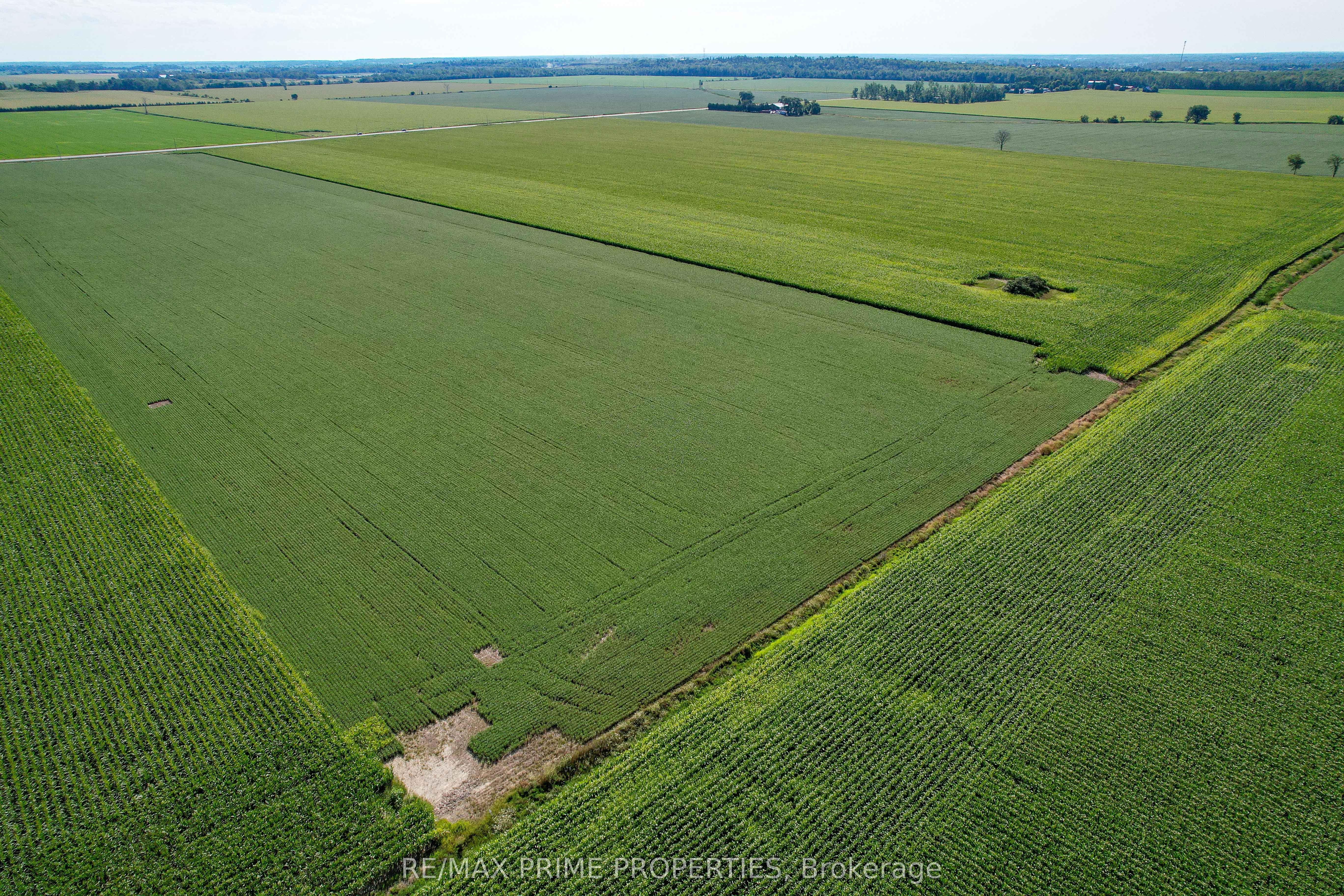 1458 Wall Road Property Photo 18