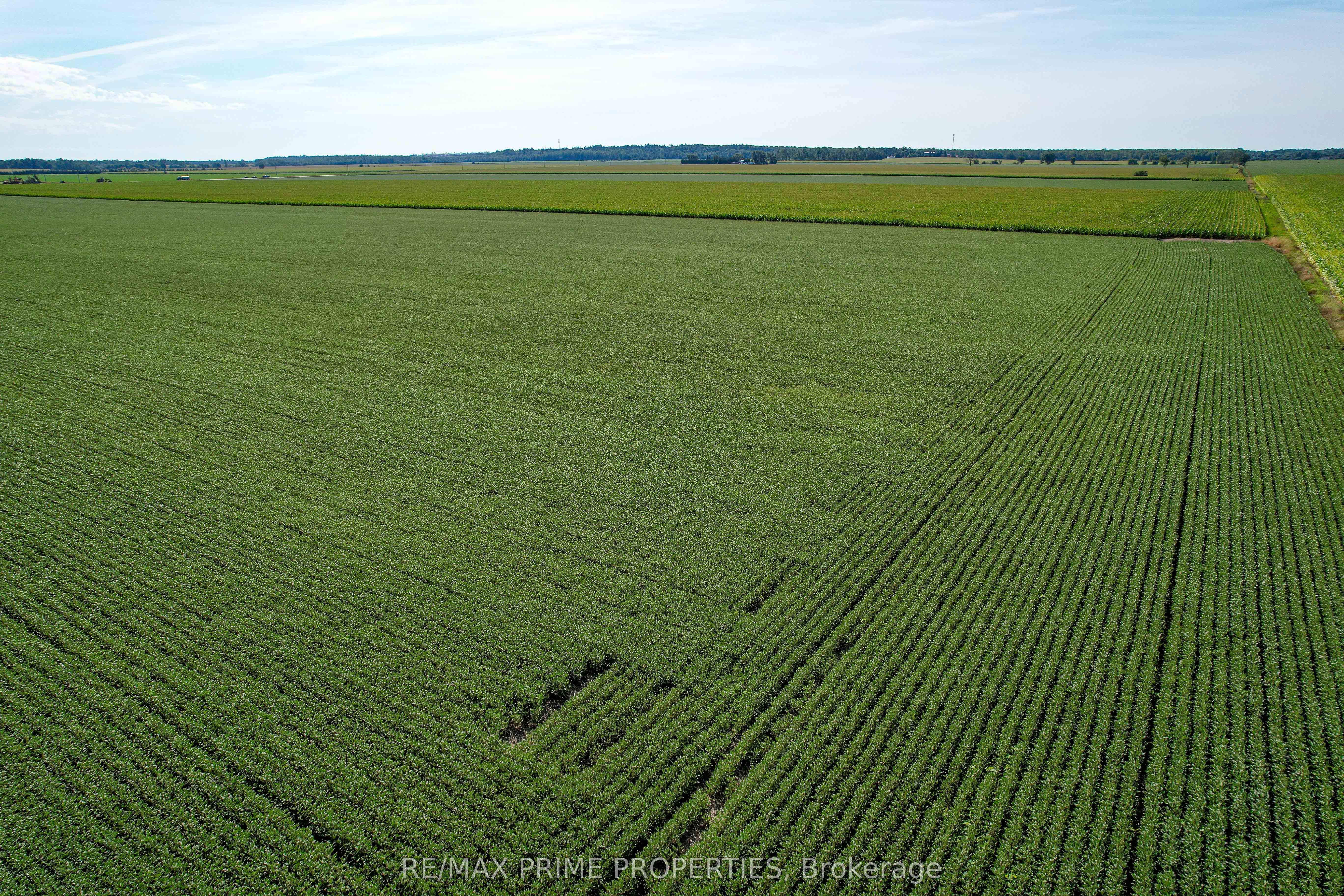 1458 Wall Road Property Photo 21