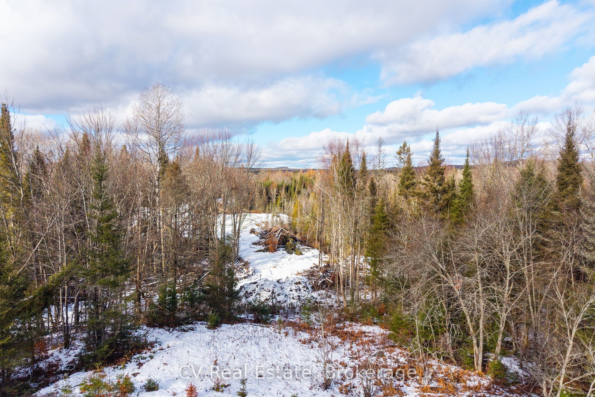 133 Berriedale Road Property Photo 33