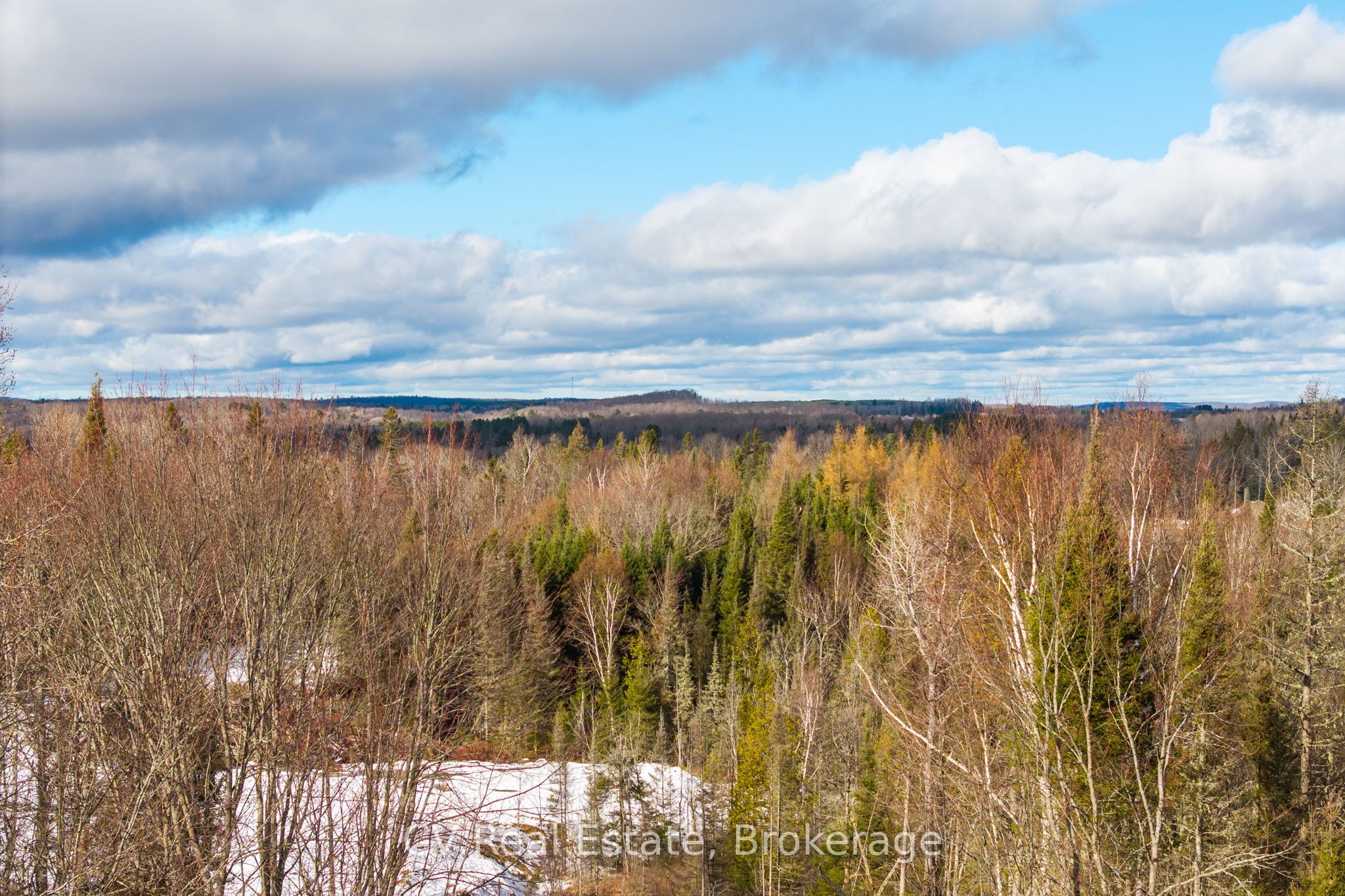 133 Berriedale Road Property Photo 33