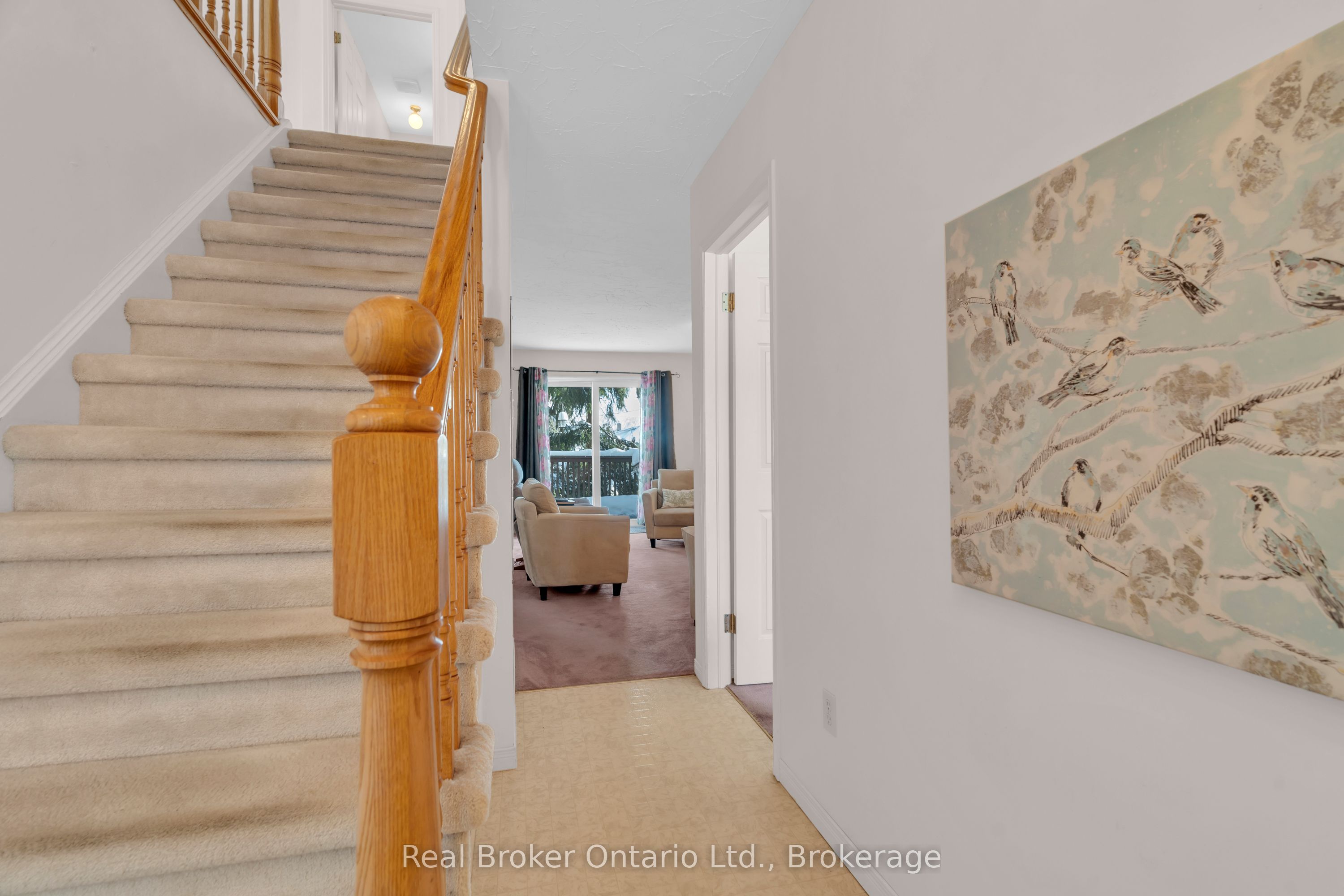 50 South Drive Property Photo 20