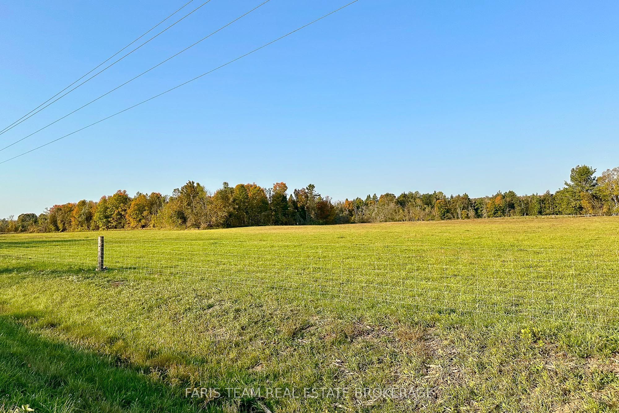 2433 County Road 121 Property Photo 46