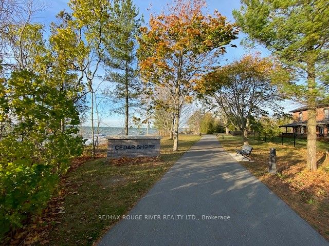 207 Suzanne Mess Boulevard Property Photo 4