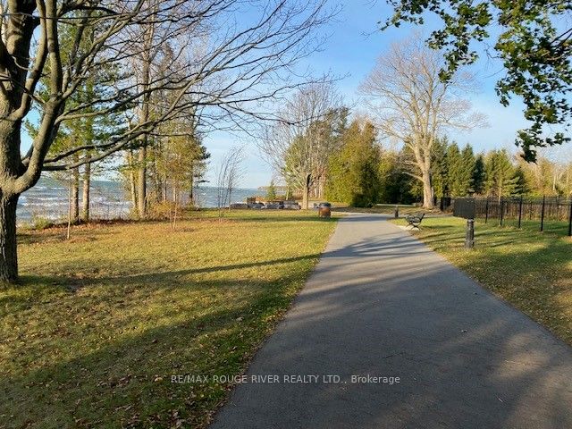 207 Suzanne Mess Boulevard Property Photo 6