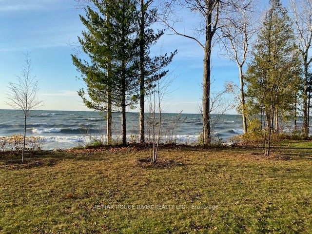 207 Suzanne Mess Boulevard Property Photo 7
