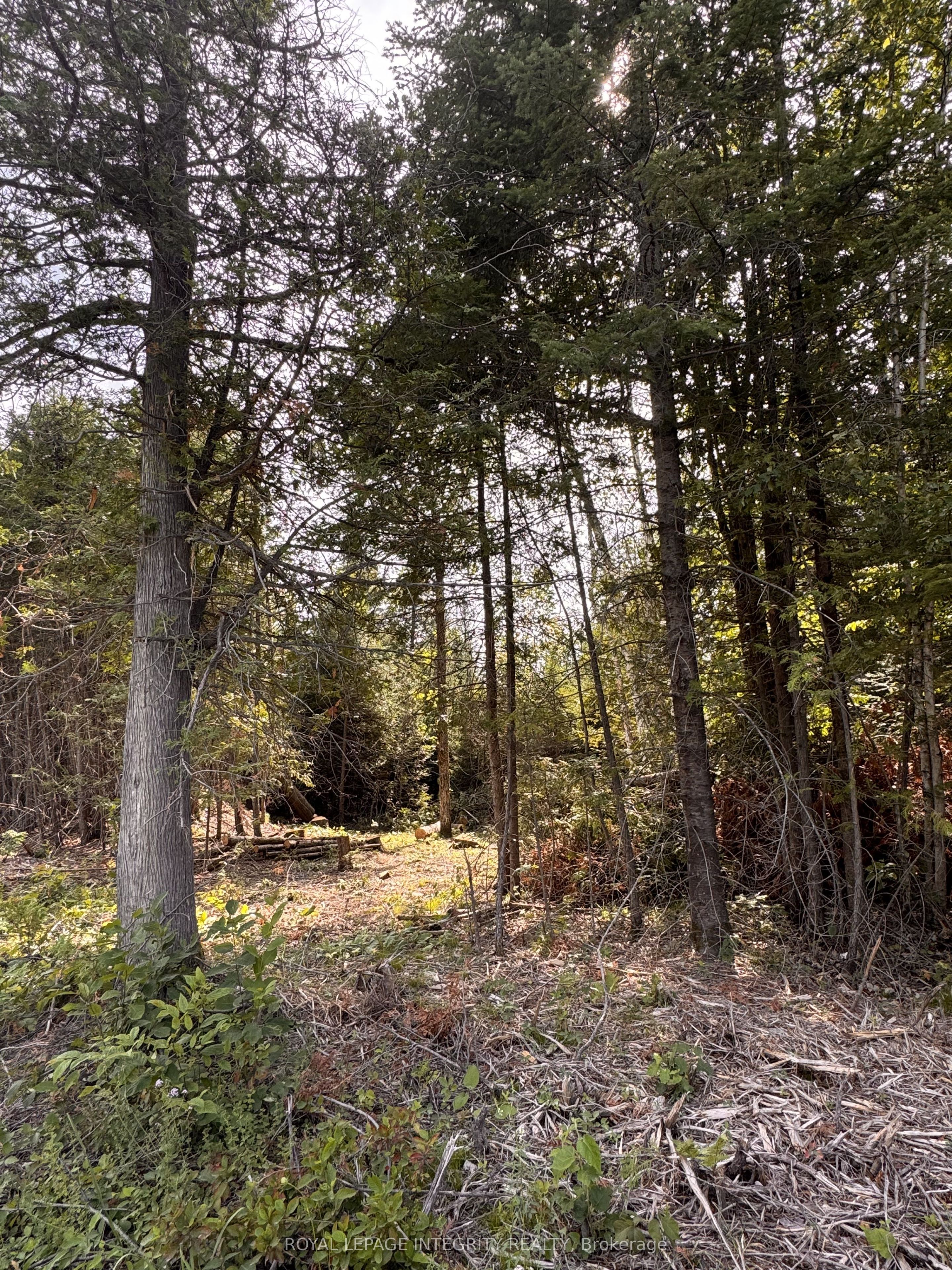 7110 Gallagher Road Property Photo 6