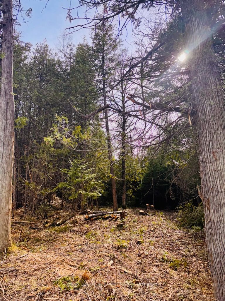 7110 Gallagher Road Property Photo 7