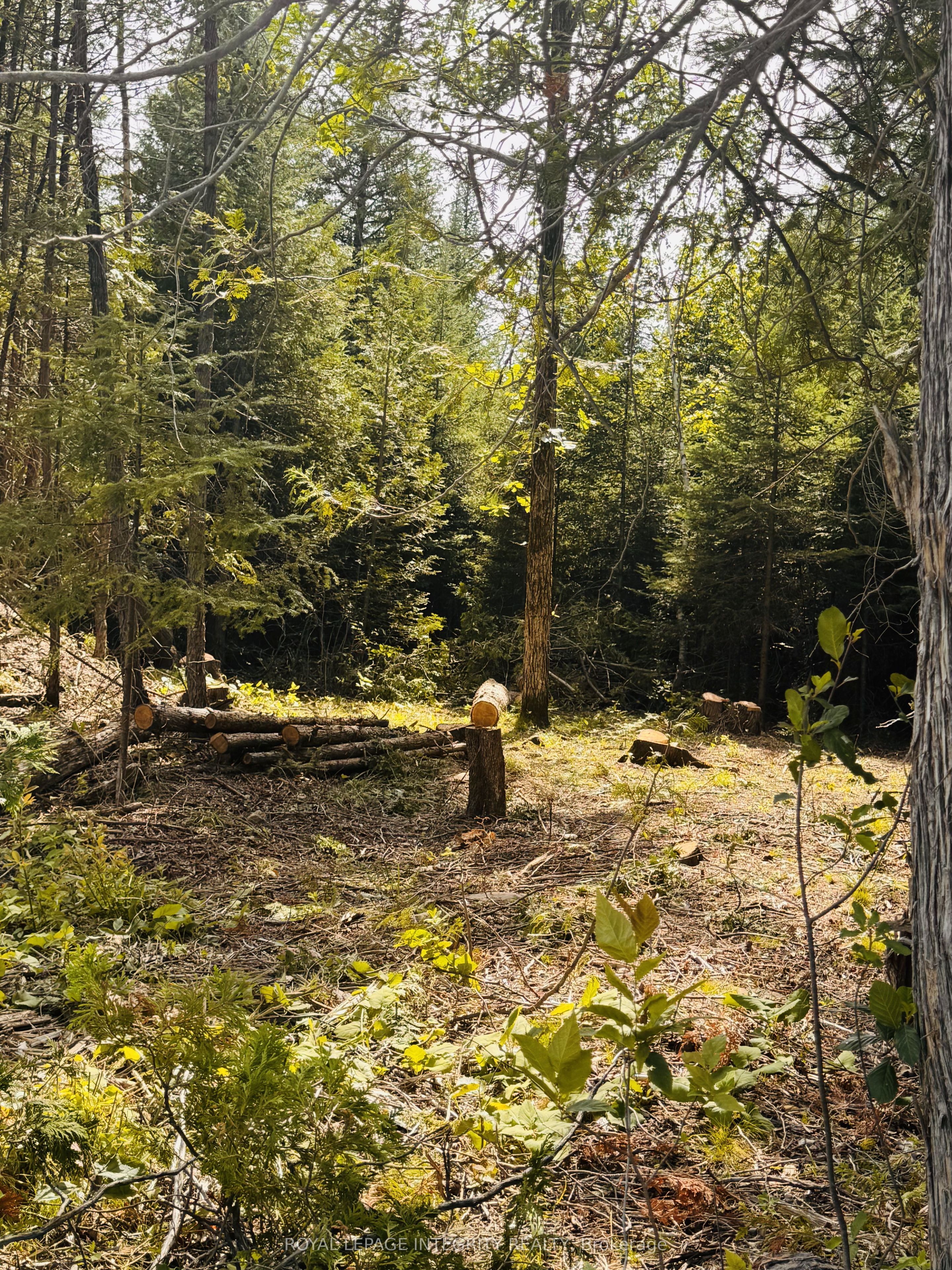 7110 Gallagher Road Property Photo 11
